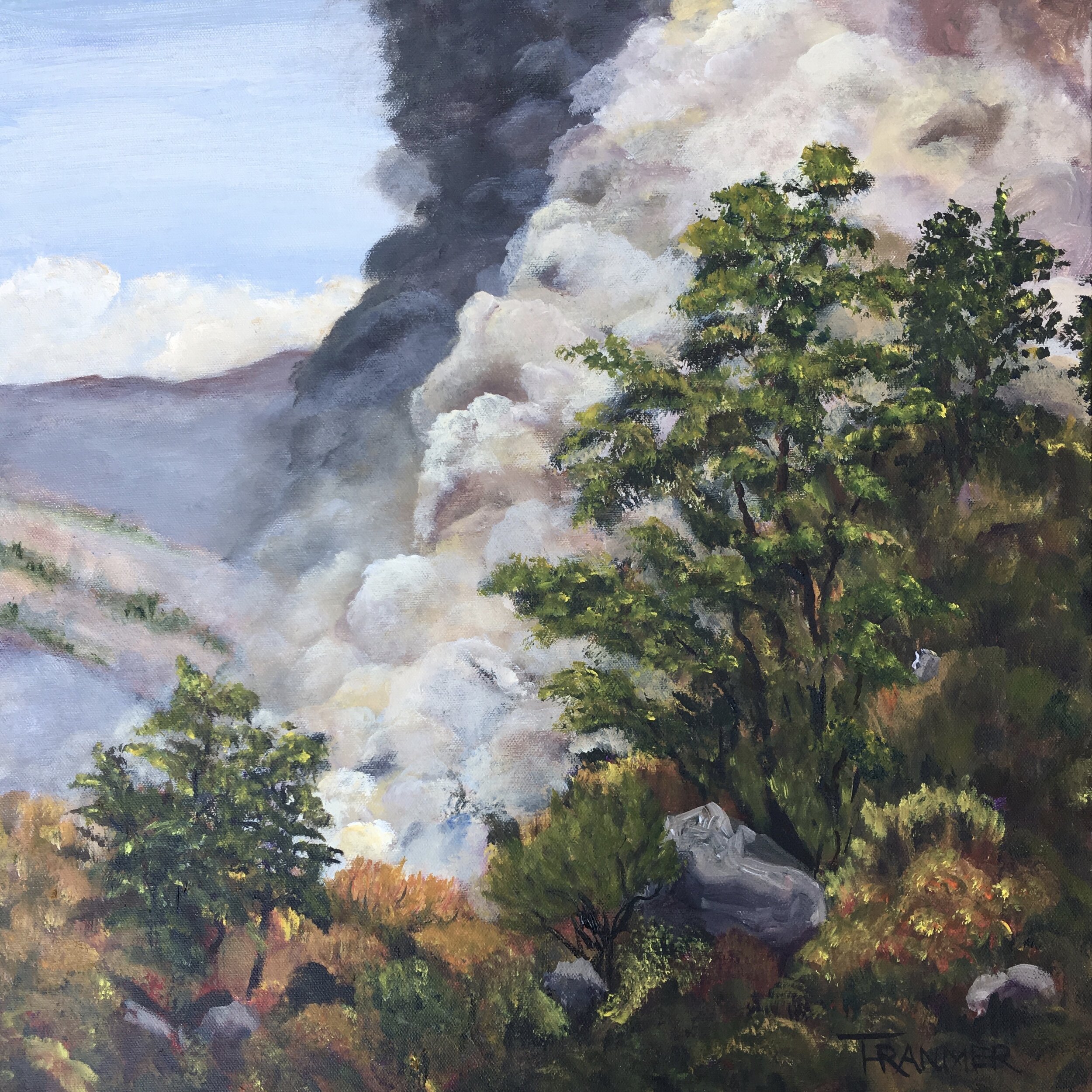 Napa Wildfire 2017 20"x20" $1200. SOLD