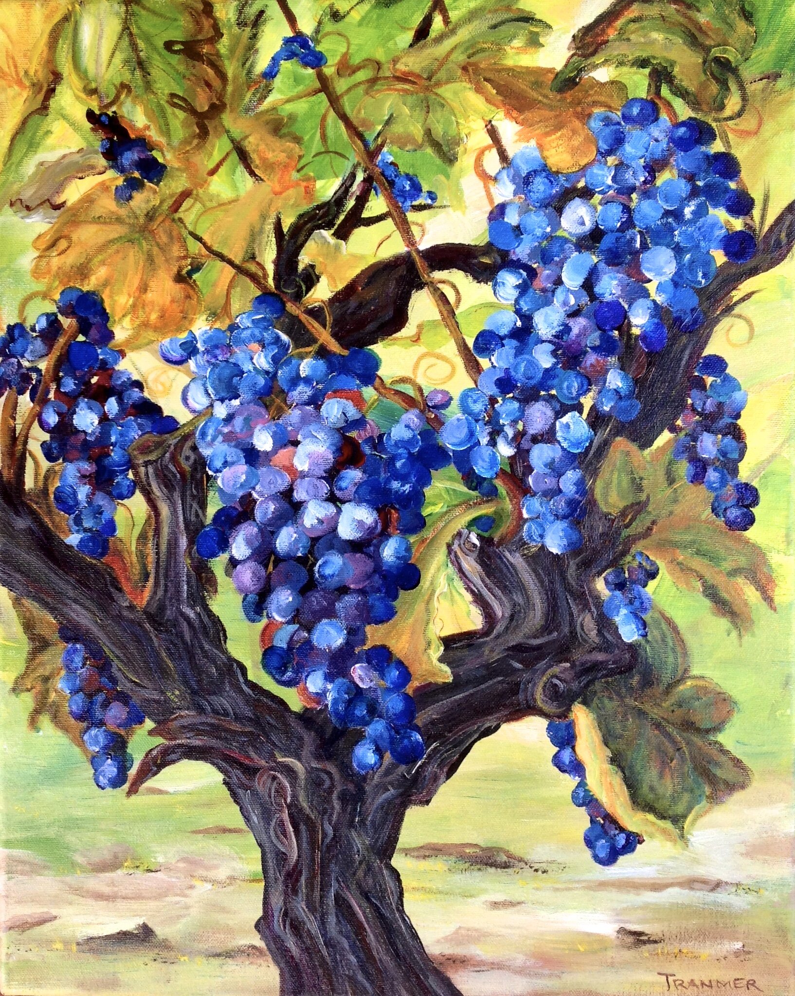 Grapevine $500. 20'x16"