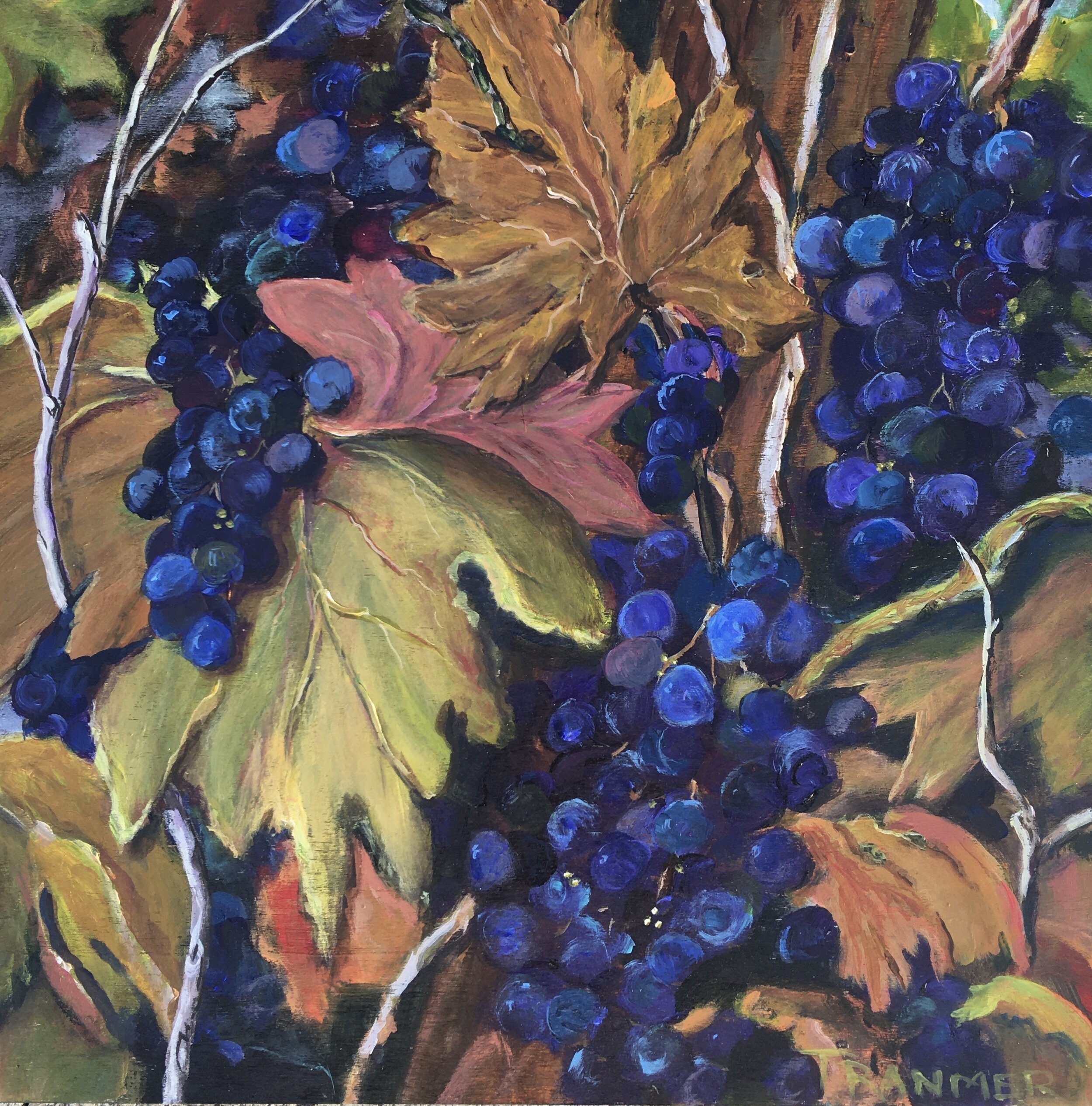 On The Vine 12'x12'. $350