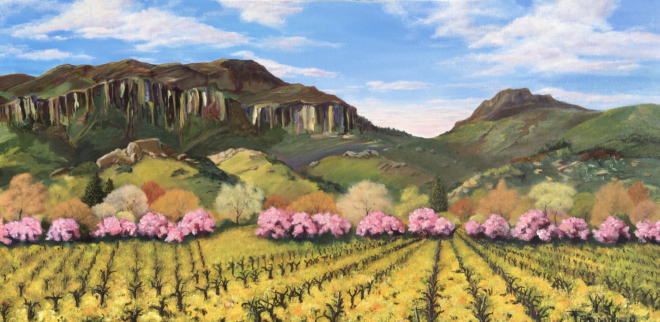 Stag's Leap $5,000. SOLD