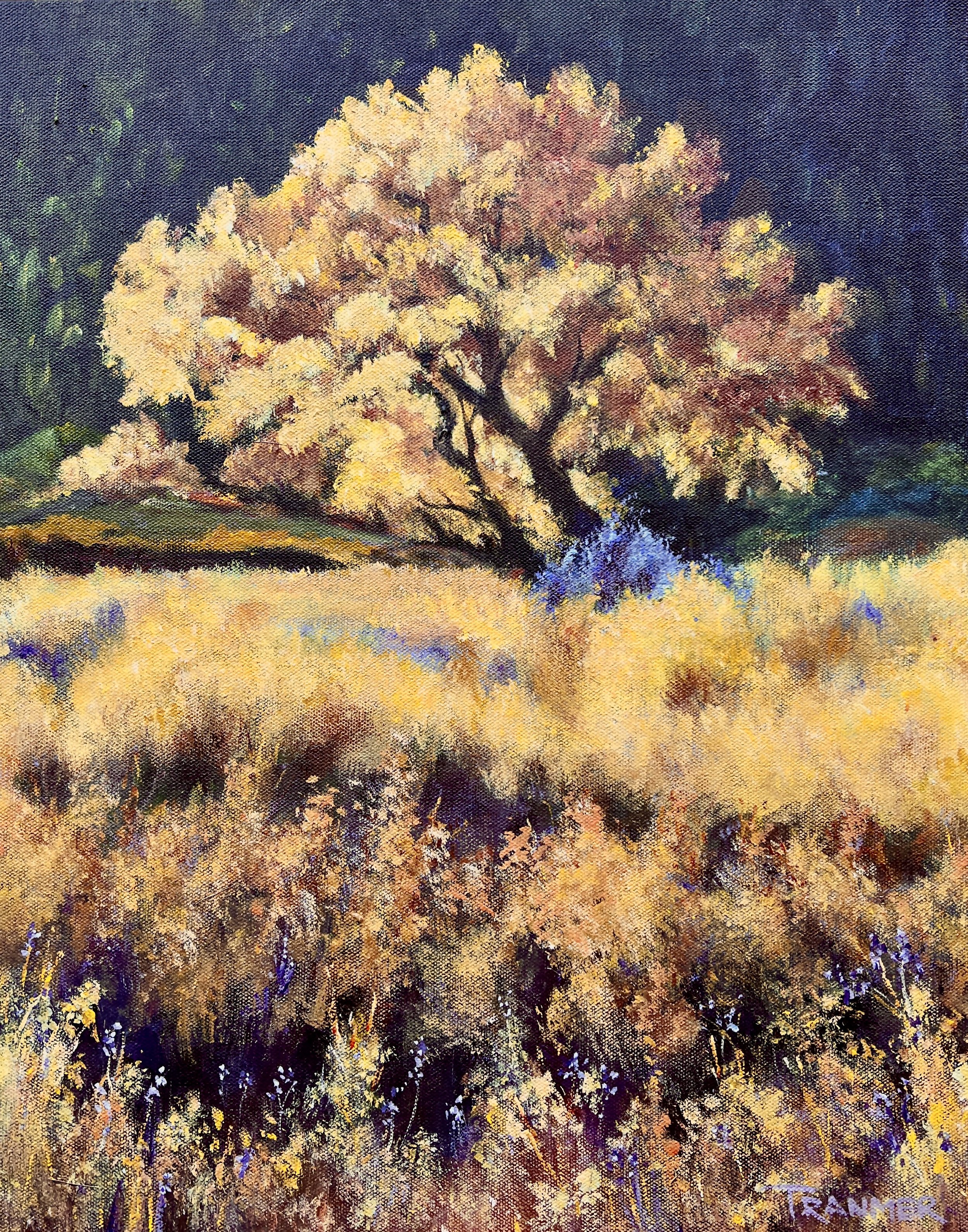 Oak in a Field. SOLD. 20”x16”. $950