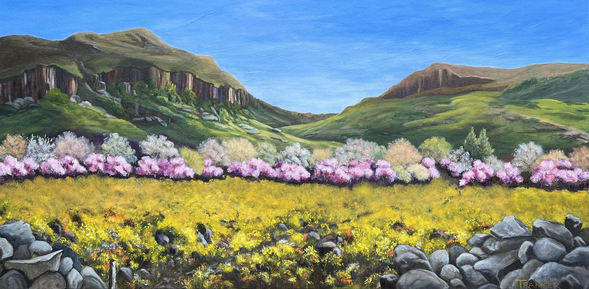 Stag's Leap Vineyards. 24"x48" $4,500