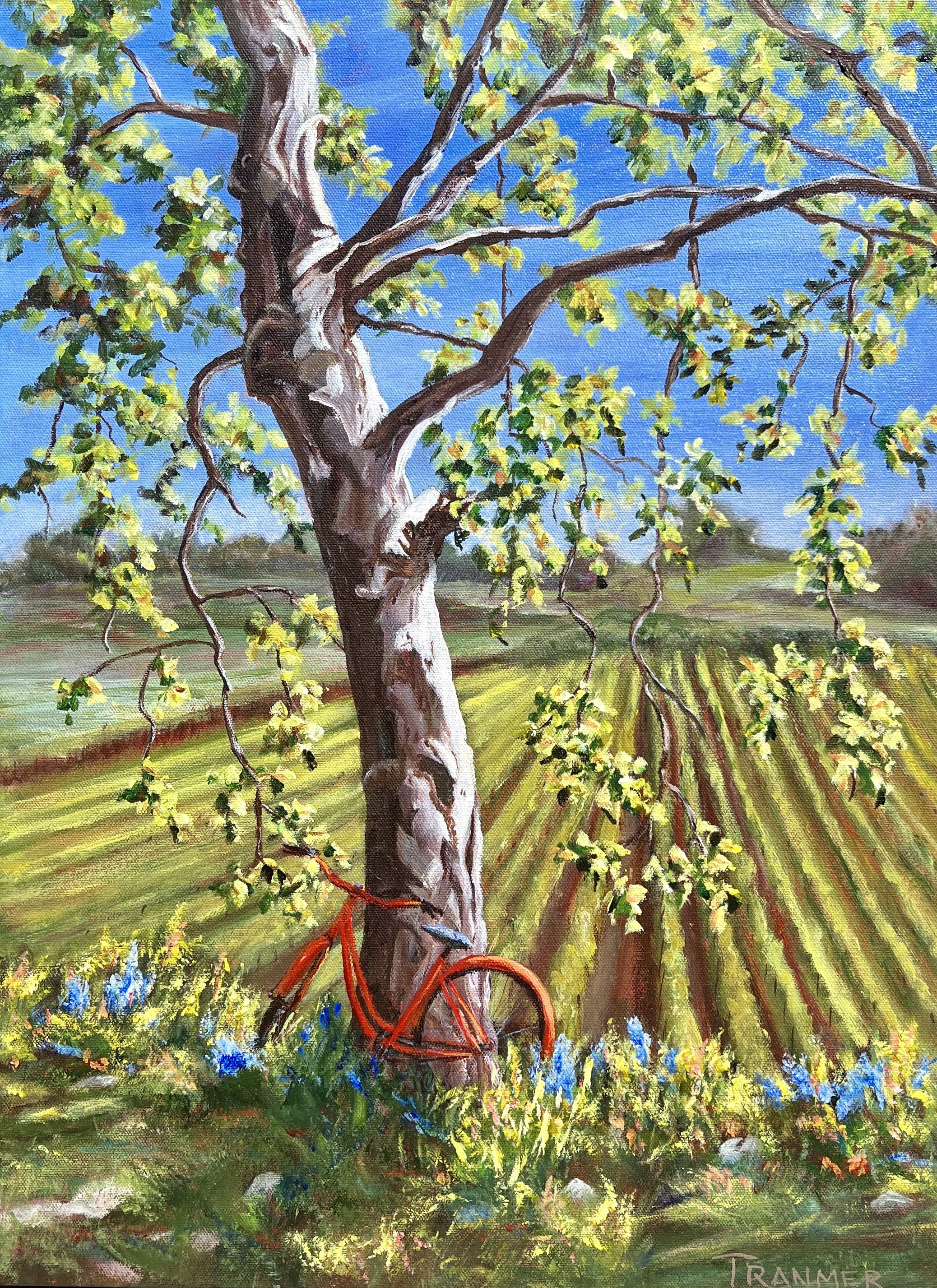 Red Bike in the Vineyards. SOLD. 24"x18". $1,100