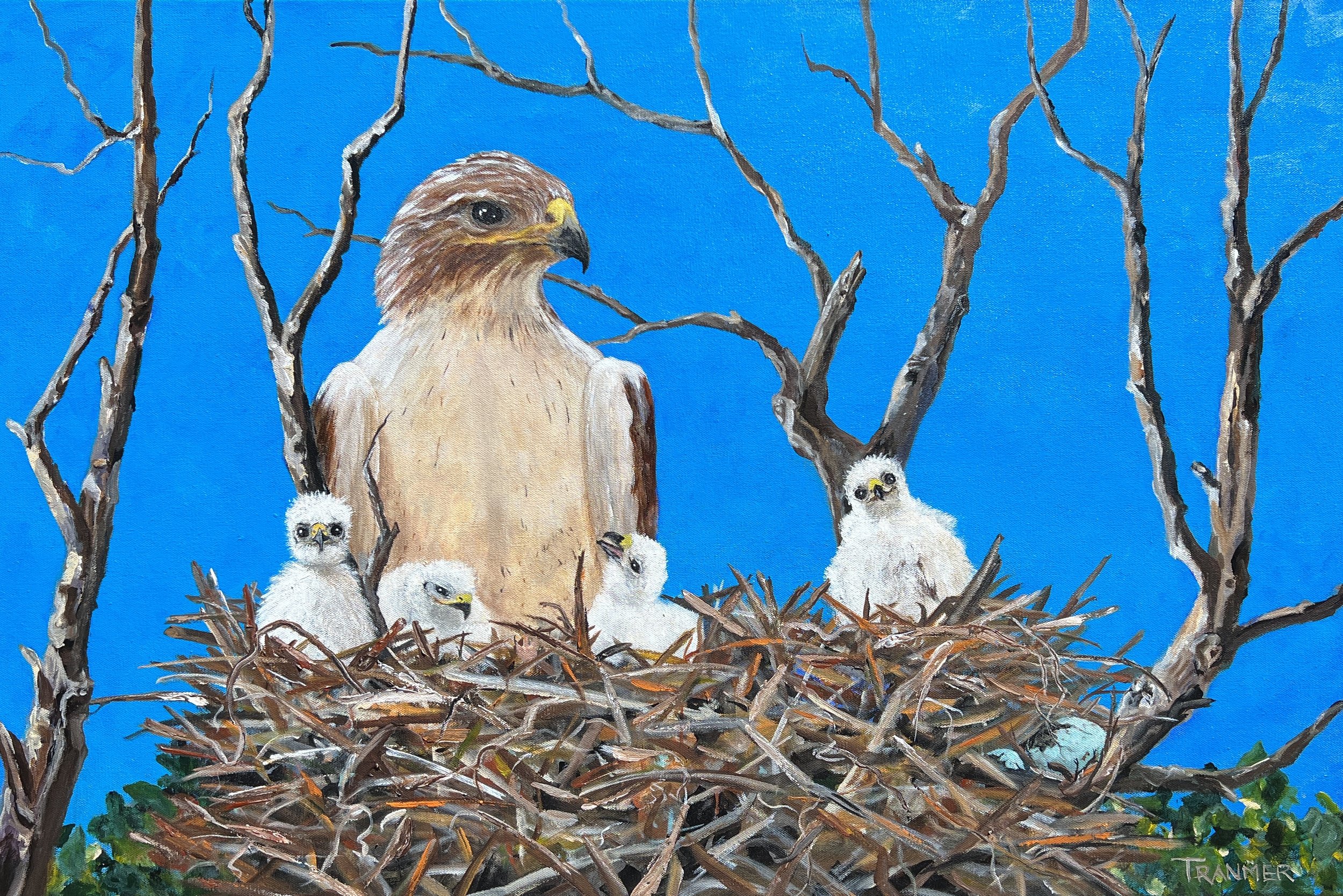 Home for the Hawks. 24"x 36". $3,000. SOLD