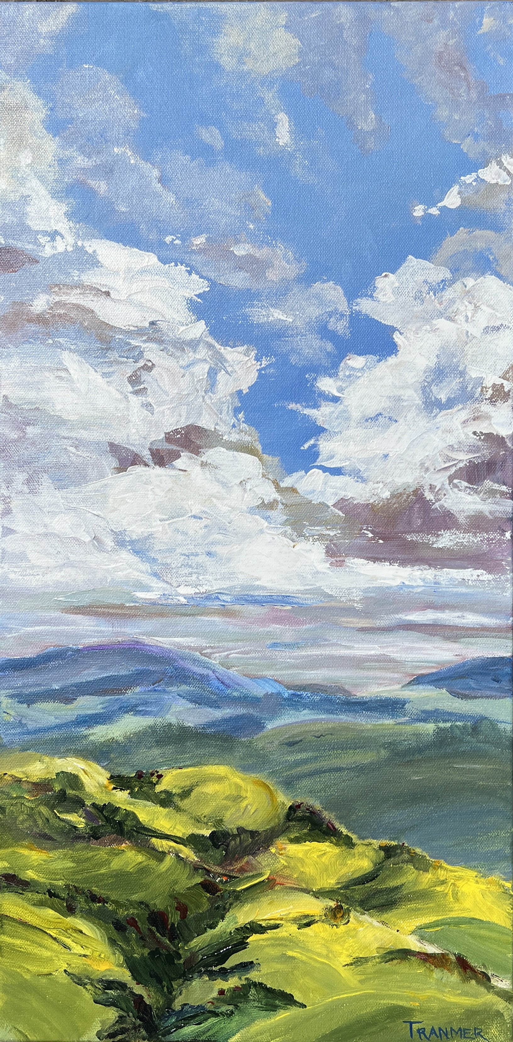 Bird's Eye View. SOLD
