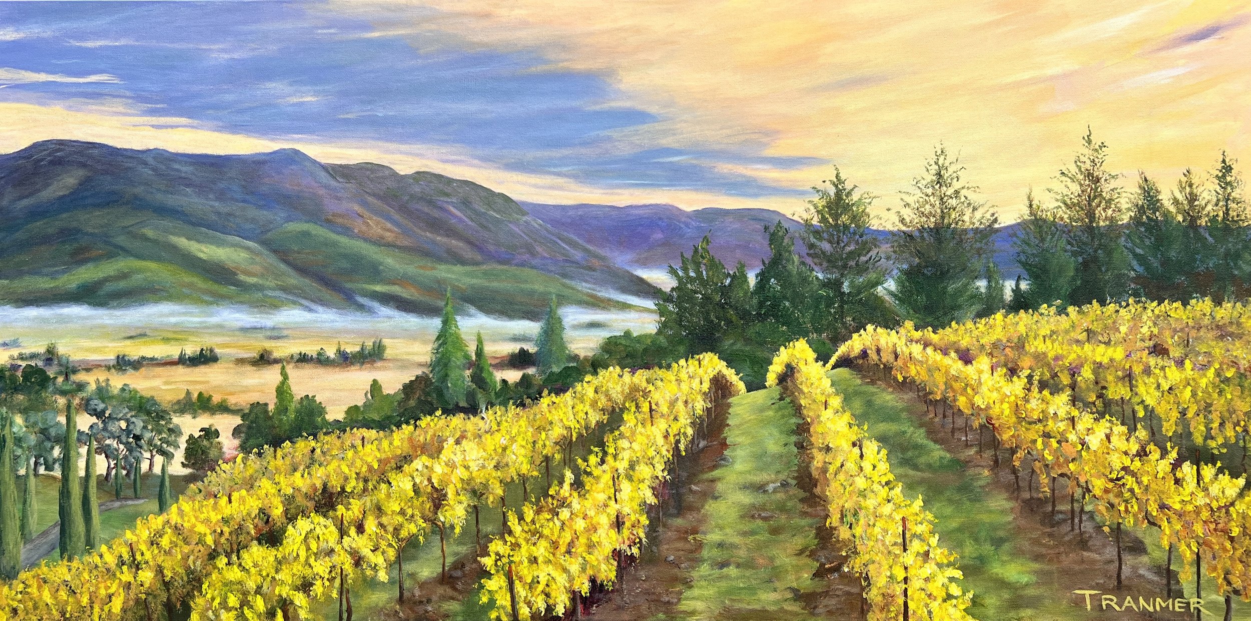 Napa Vineyards. SOLD