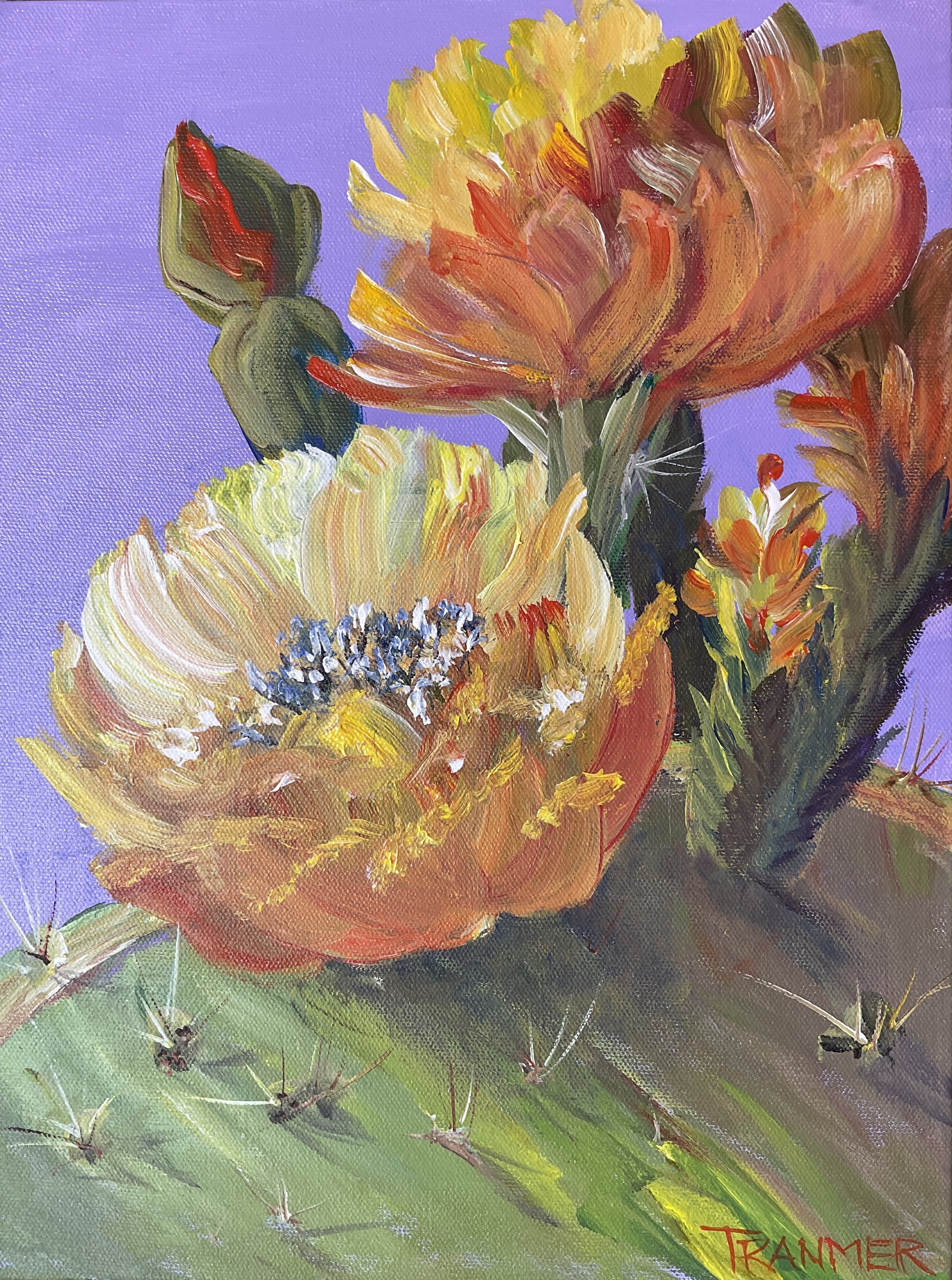 Cactus Flowers. 16"x12". $750