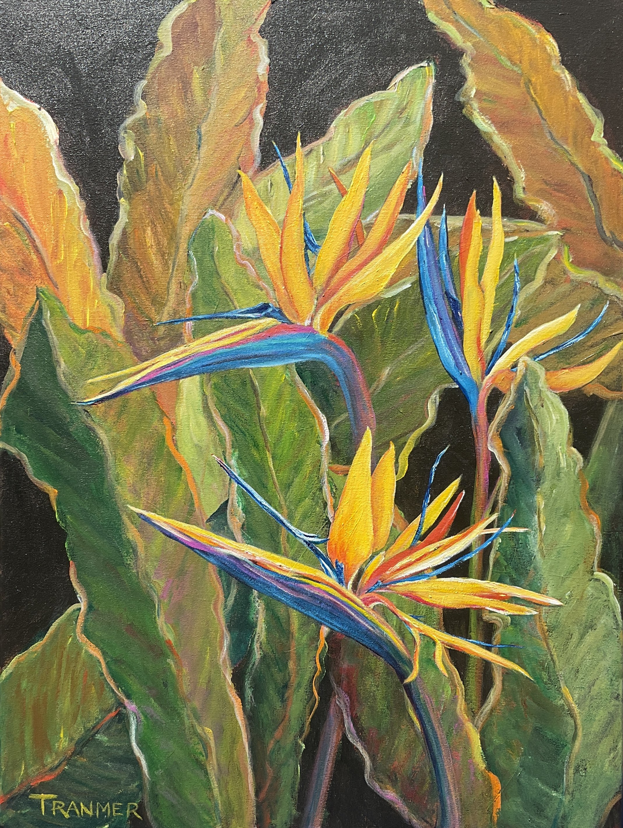 Bird of Paradise. 31”x24”. SOLD
