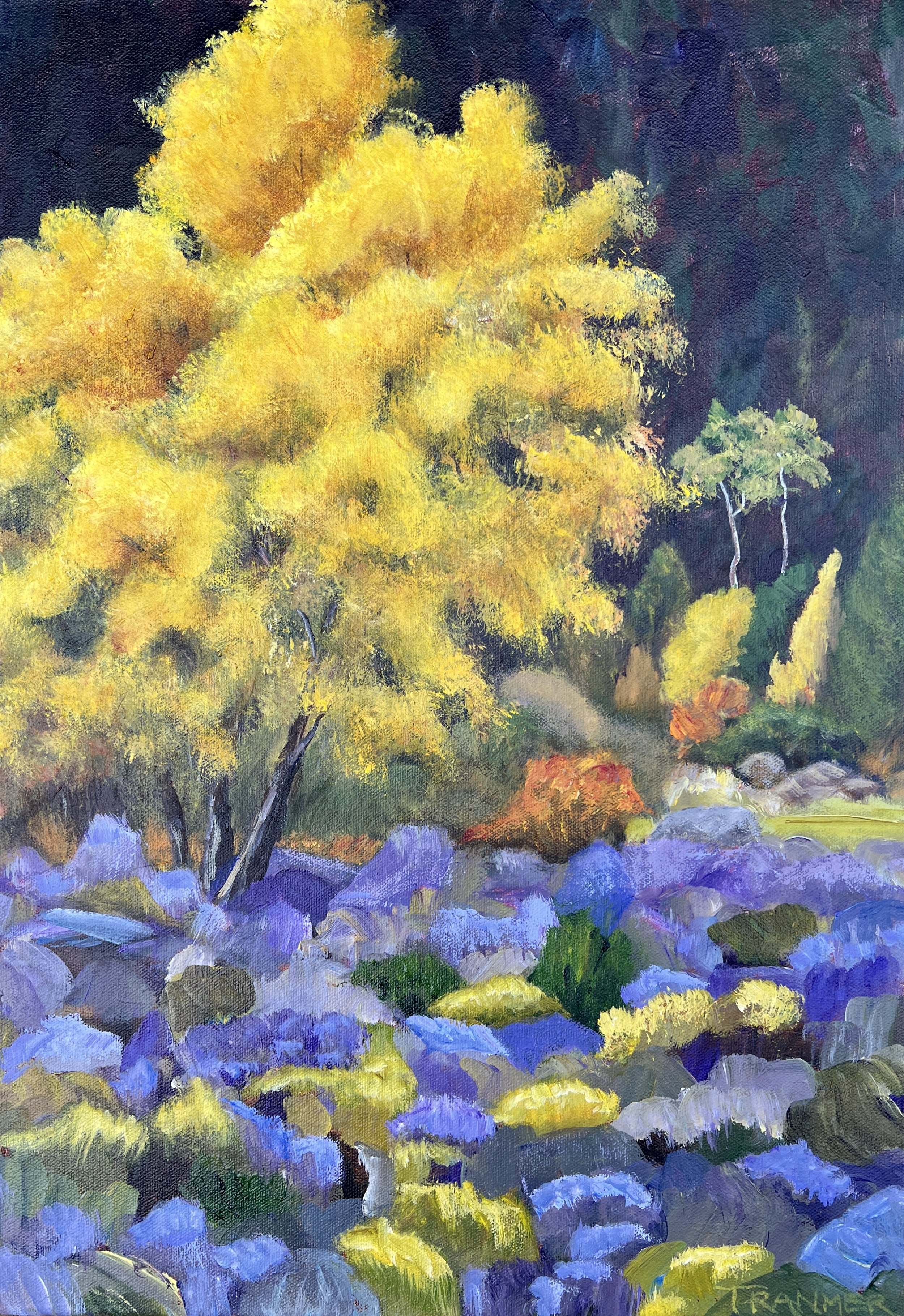 Lavender Field. 20"x14". $900