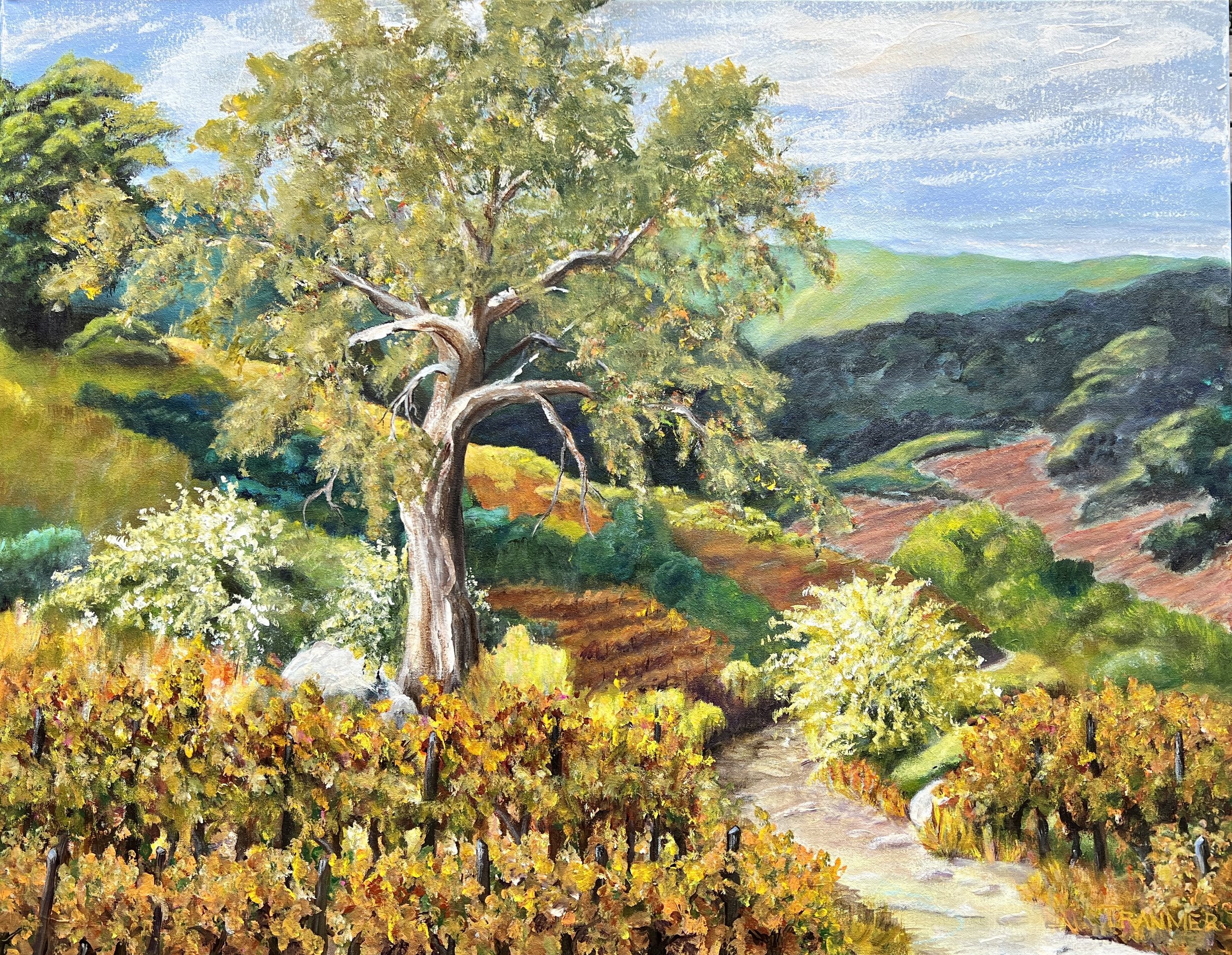 Oak and Vineyard. 24"x36". $2500