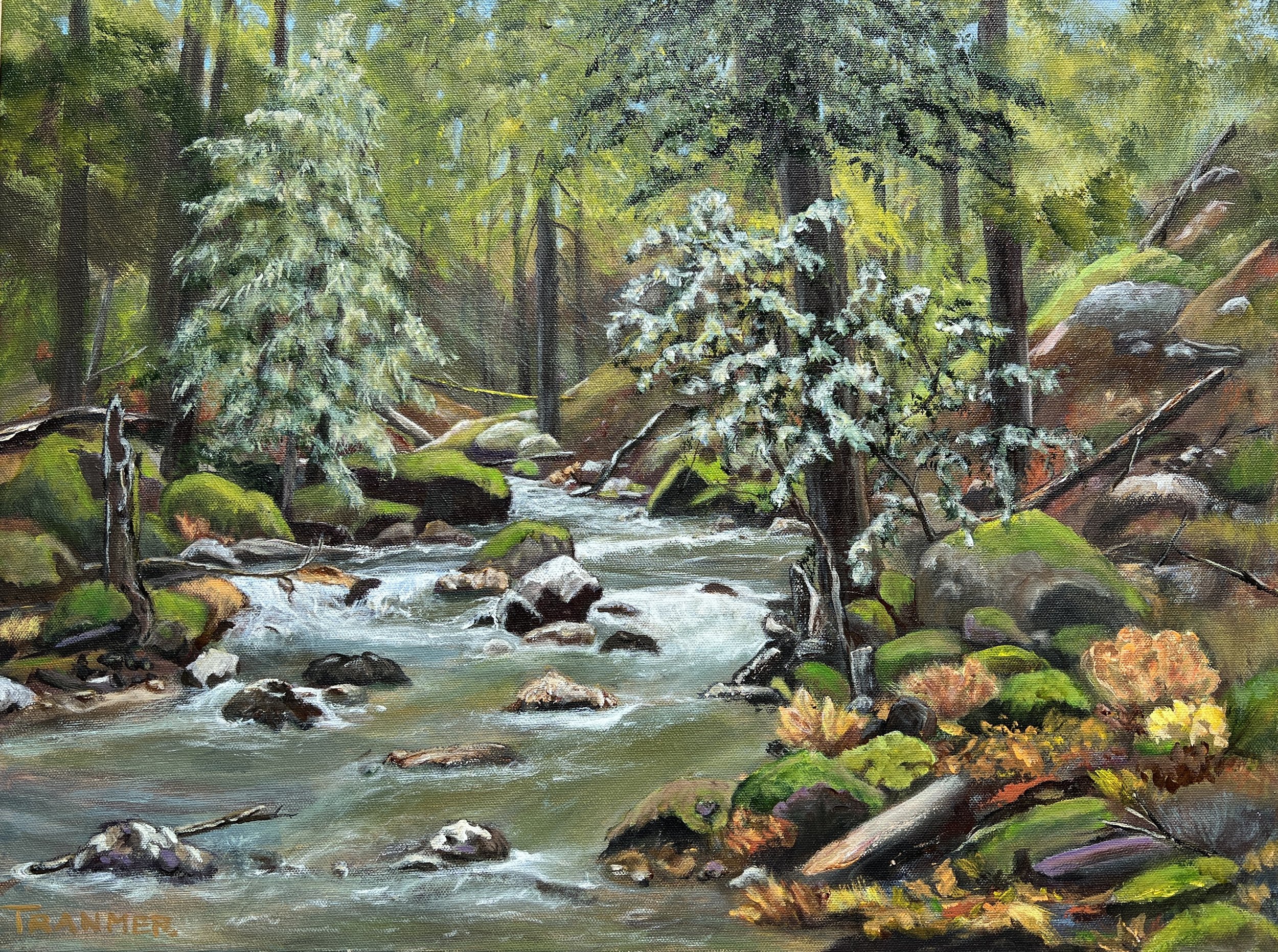 Redwood Creek, Napa , CA 18"x24" $1,100