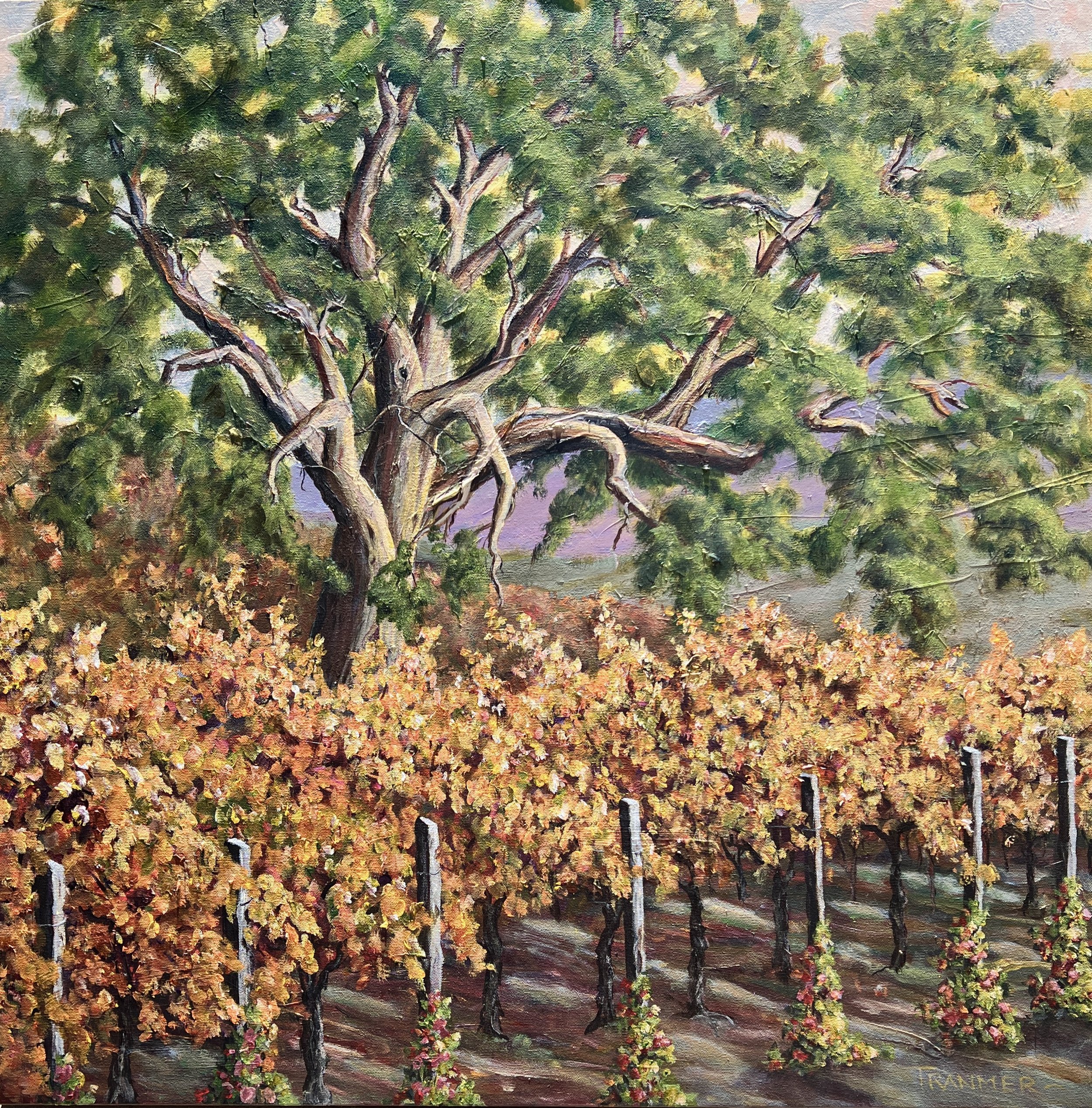 Autumn in Napa 36"x36". $3500
