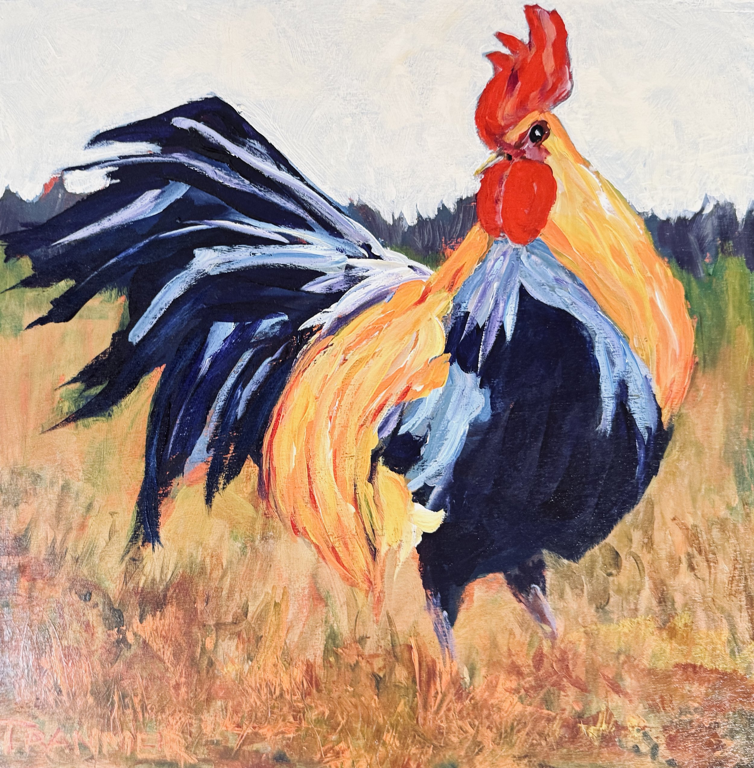 Proud Rooster. - --12" x 12". $500. SOLD