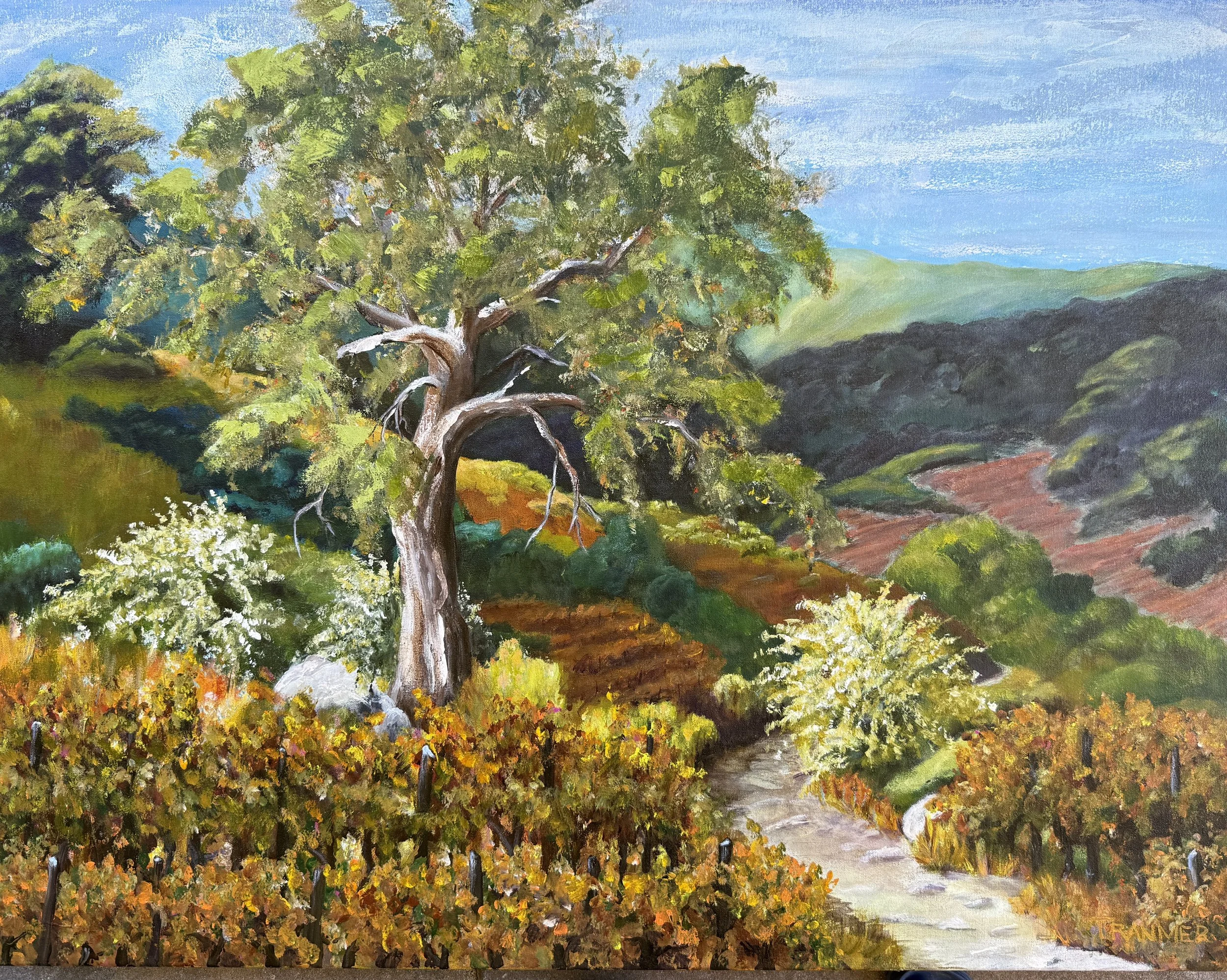 Oak and Vineyard. 27"x35". $2500