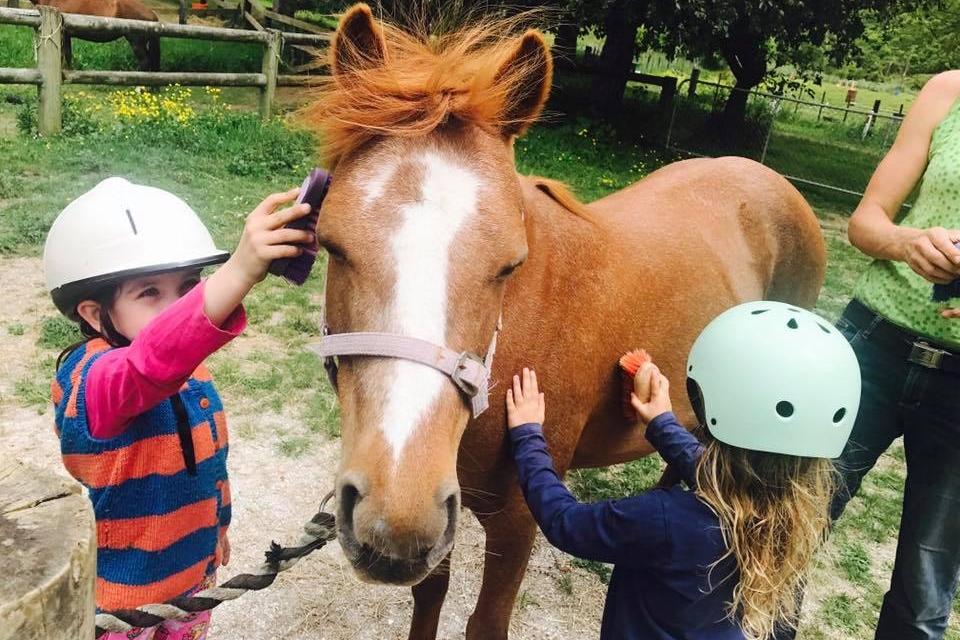 hira clubs horse care and riding