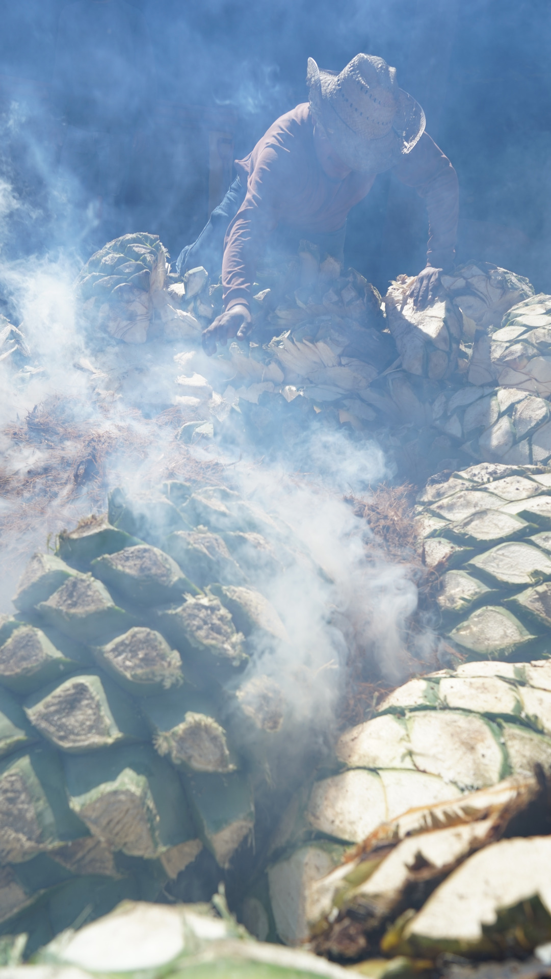 In the process of roasting agave hearts inside an earth pit; transforming their starches into fermentable sugars. 