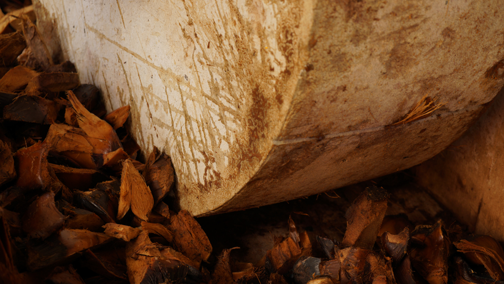 Milling cooked agave using the mechanical tahona (limestone mill). 