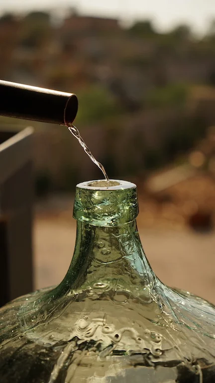  Freshly distilled mezcal. 