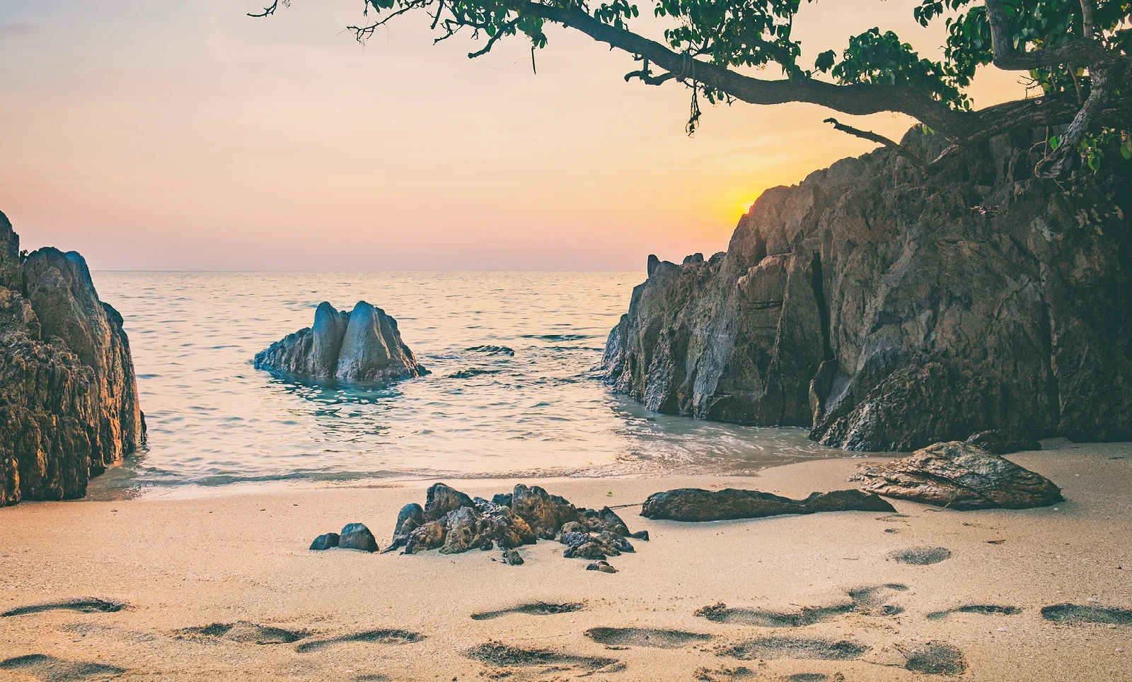Main Page Banner Beach Scene.jpg