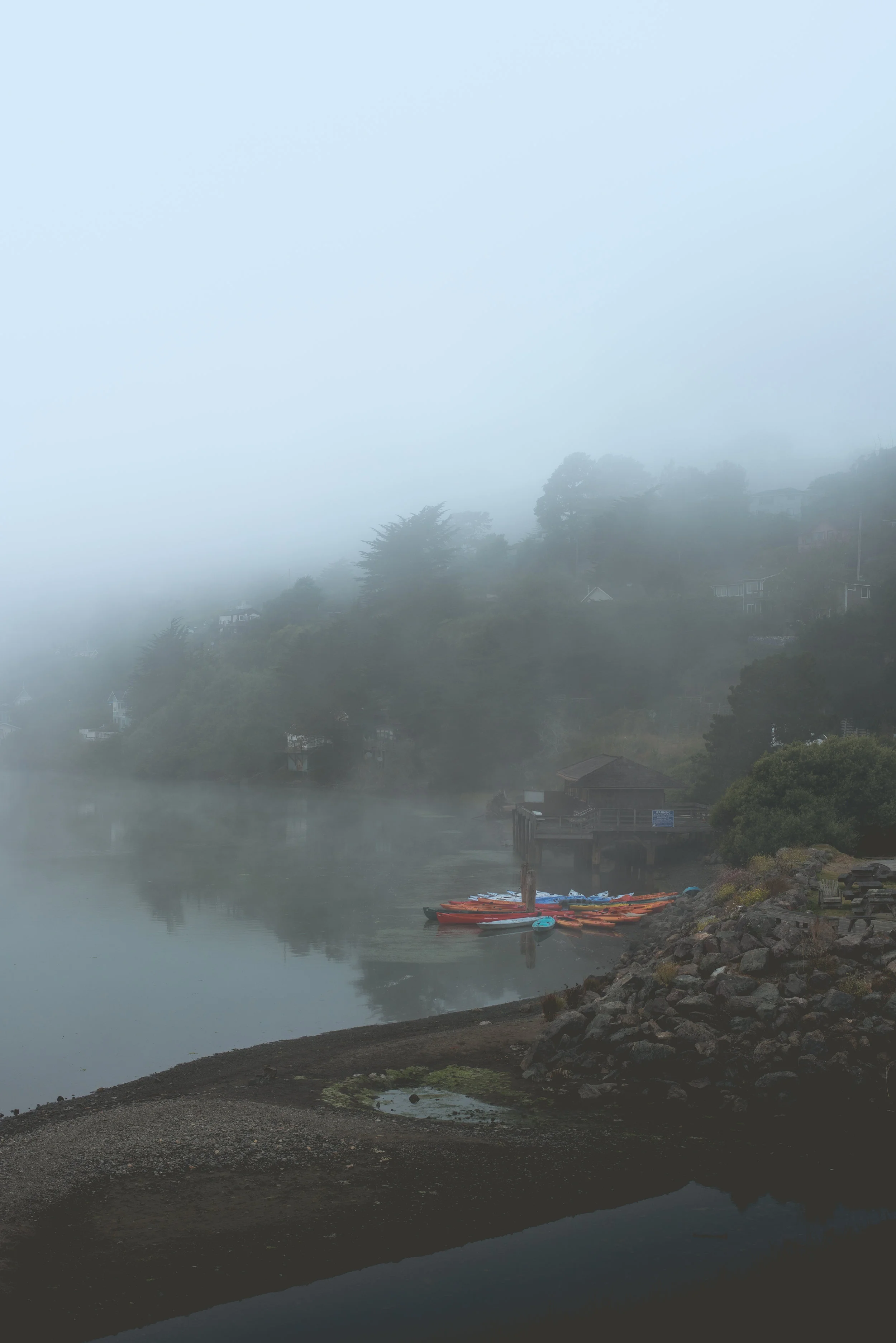 Fog in Jenner, CA. ISO 200, f/5, 1/250