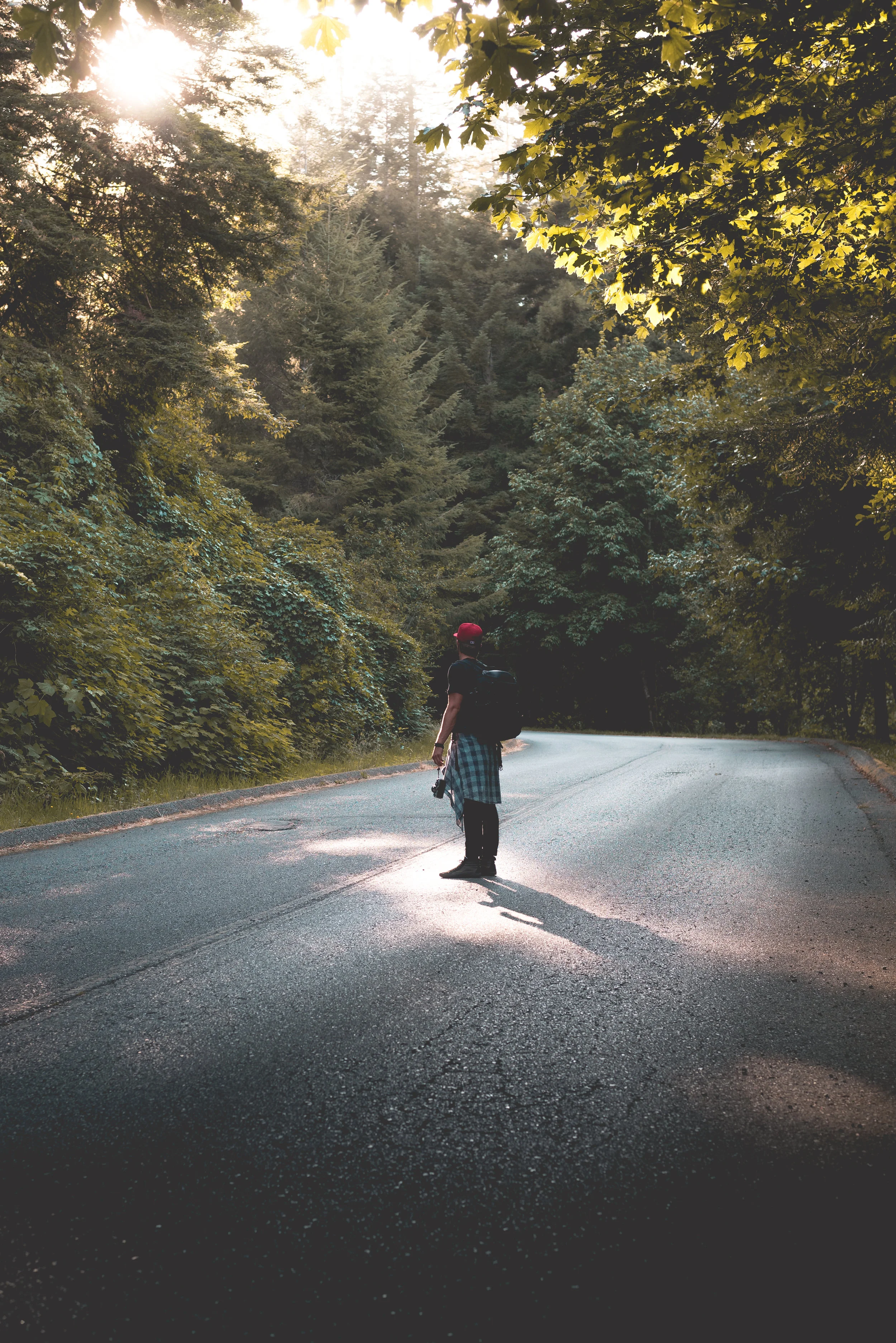 Selfie in the Redwoods. ISO 400, f/4, 1/320