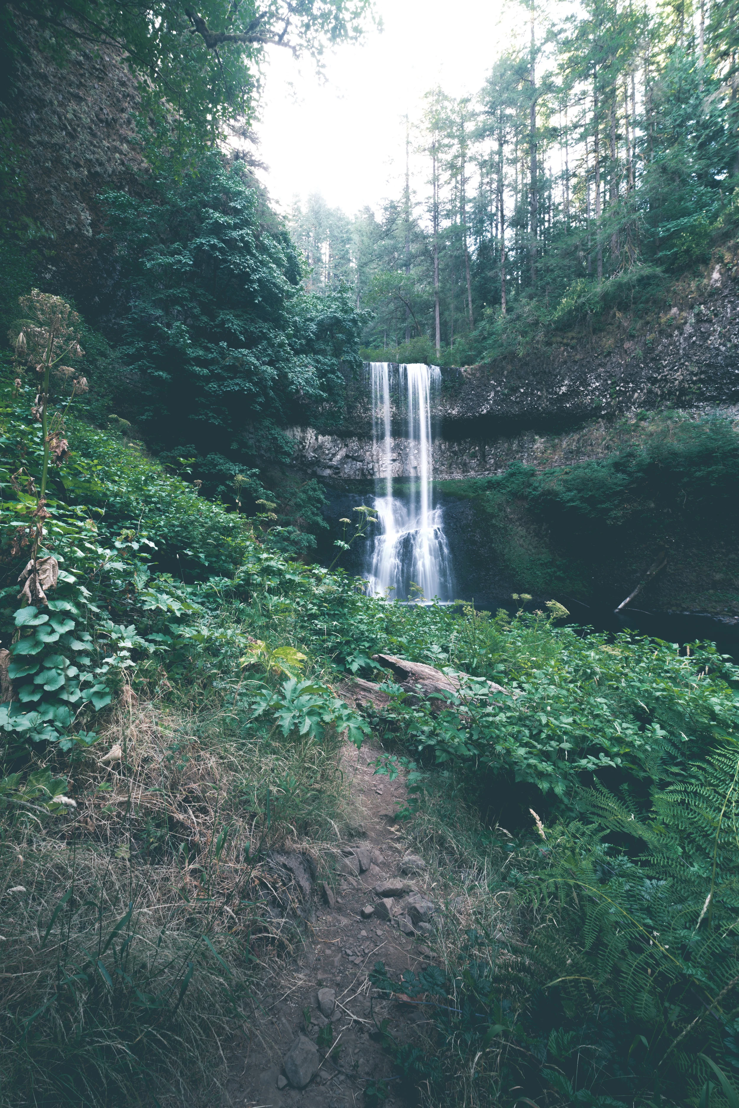 ISO 50, f/11, 0.8 sec.