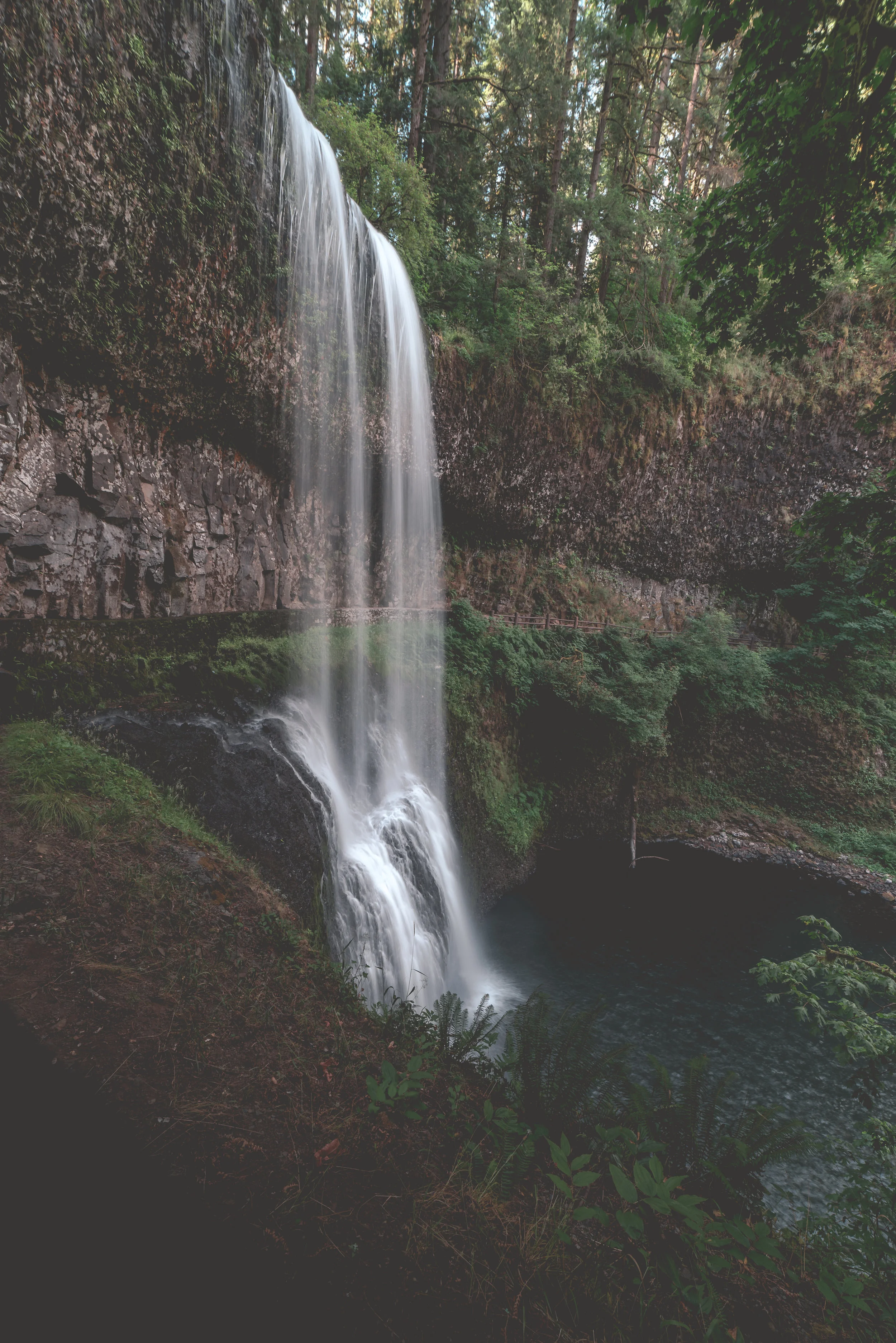 ISO 50, f/11, 1/5