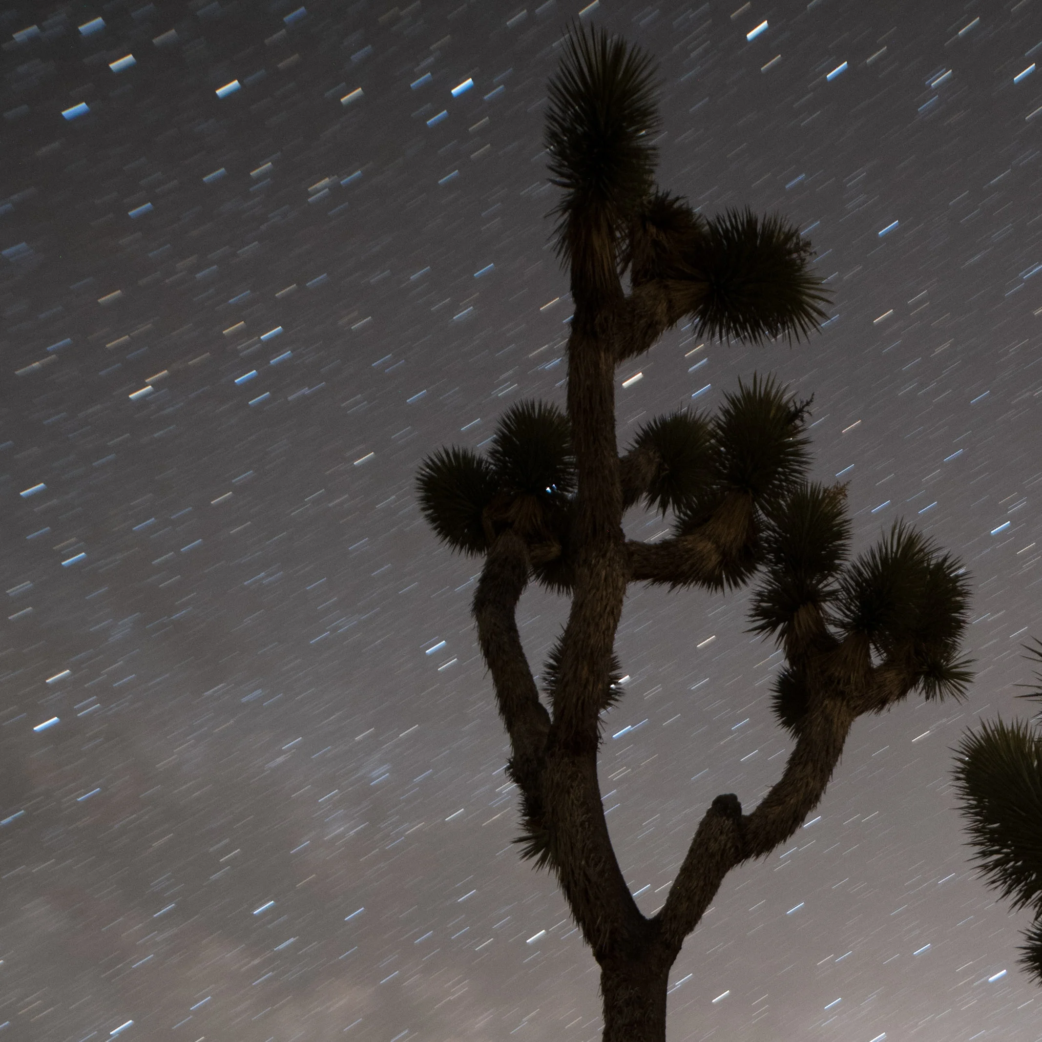 Star drag in a long exposure.