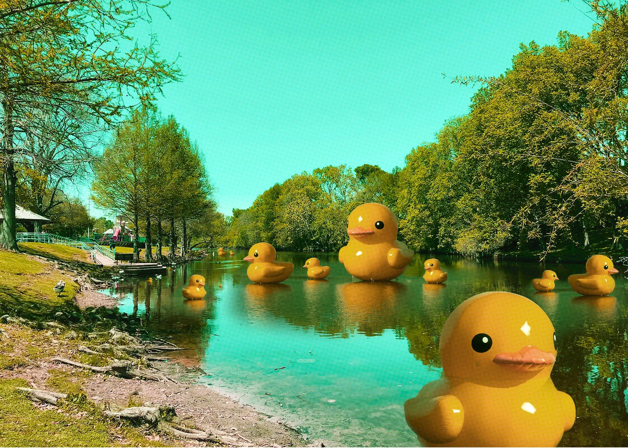 rubber duck pond  5x7.jpg