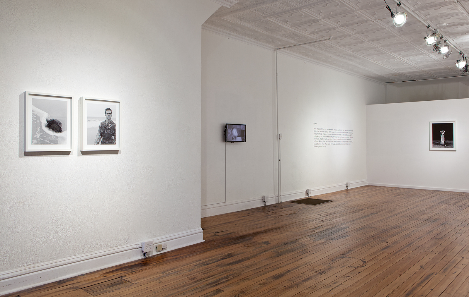 johnson_david_install_02.jpg