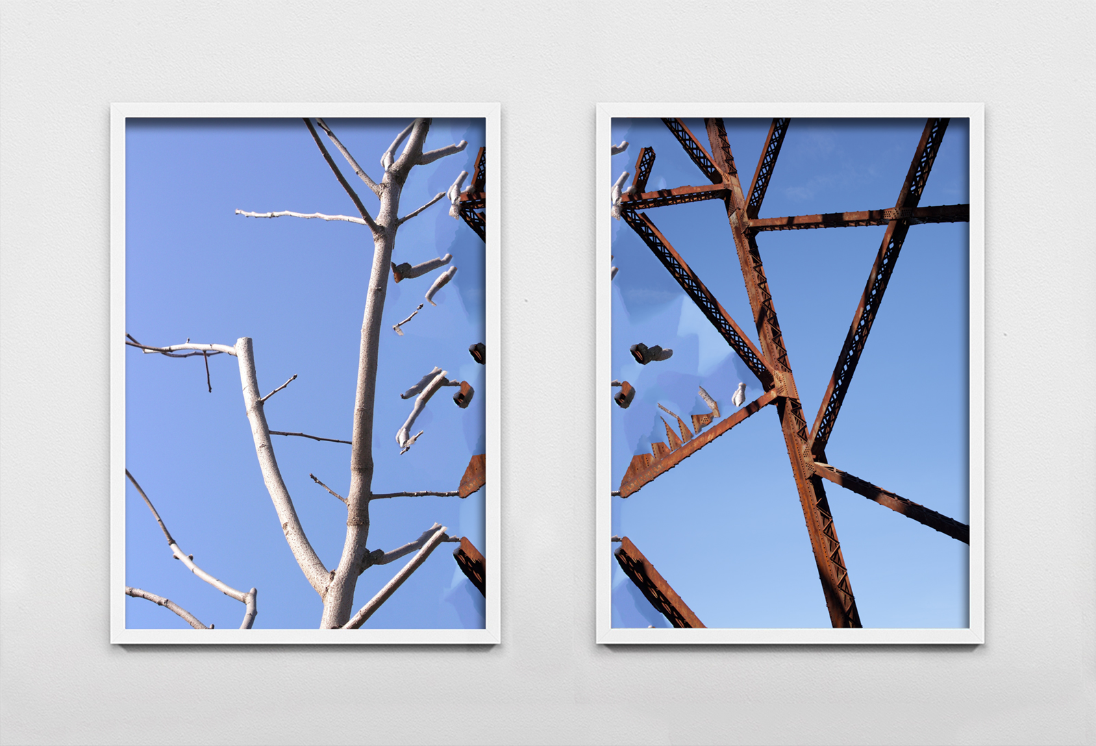 trees.jpg