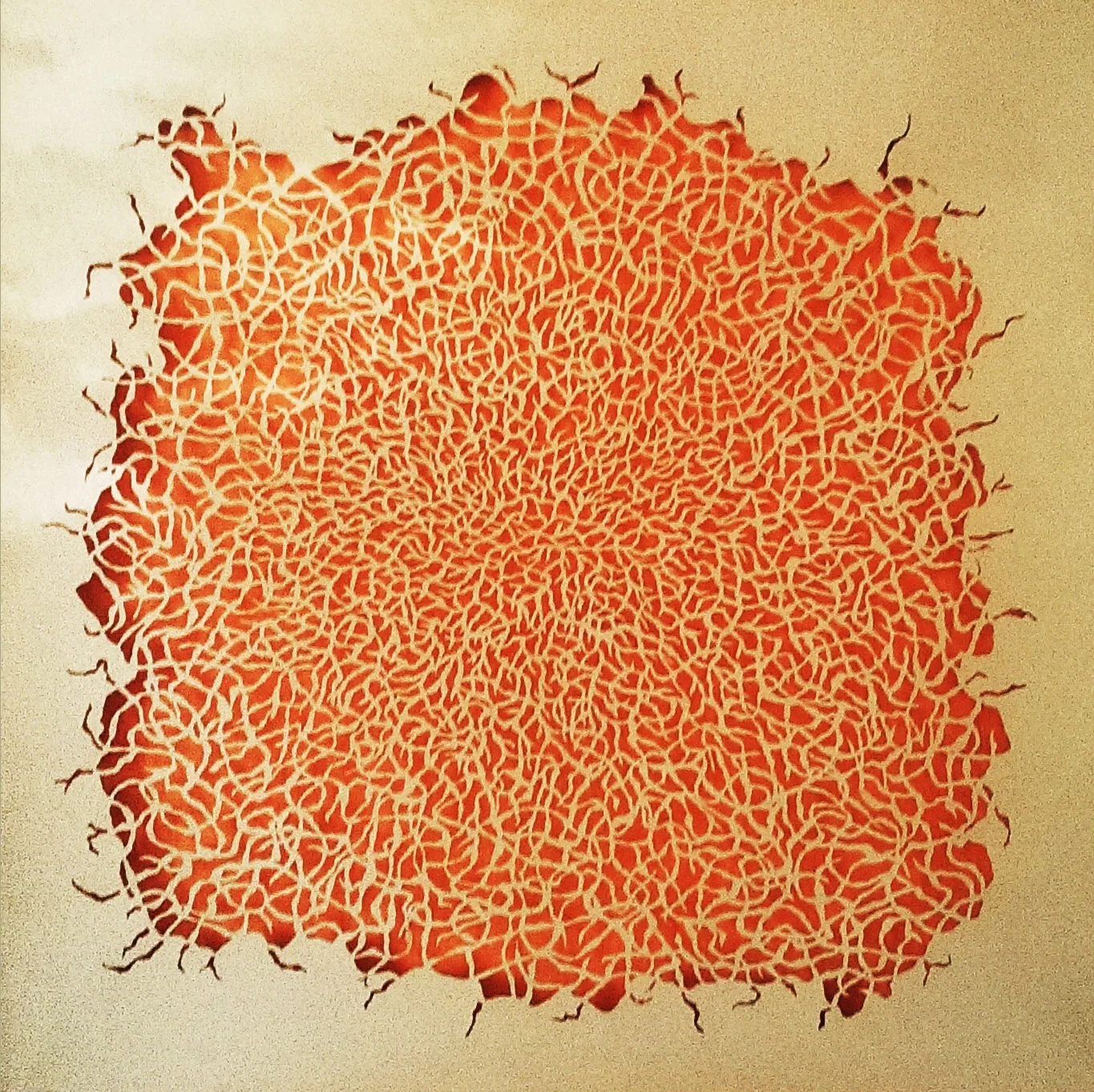 Roots 2016 30x30in