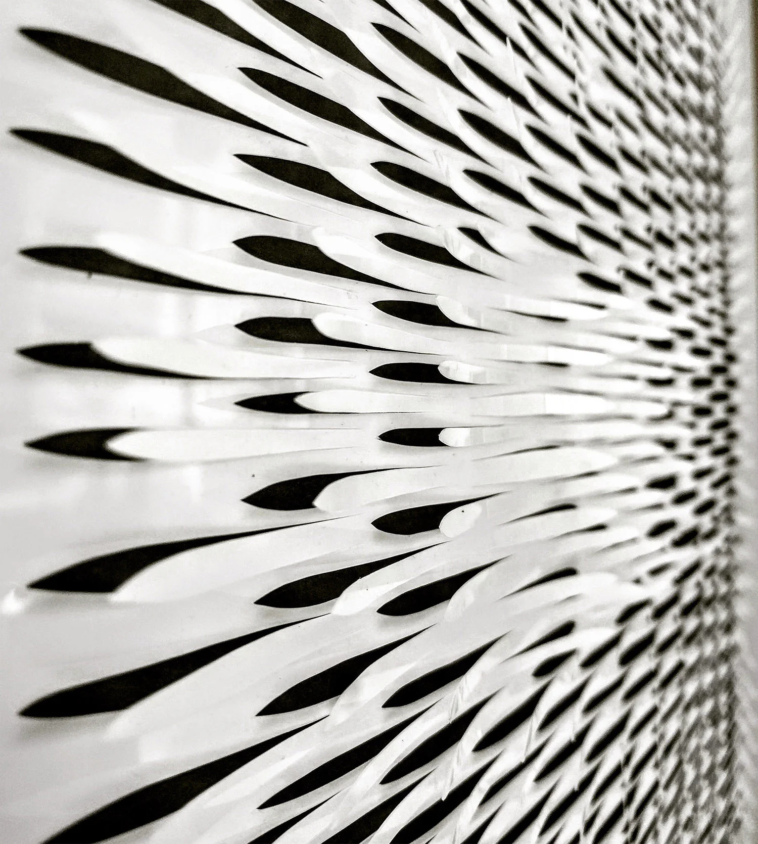 Crossed Purposes 2015 detail