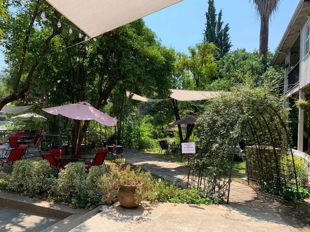 Backyard and Pool Opening