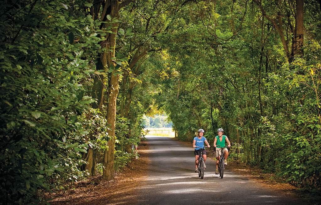 Quiet Back Roads