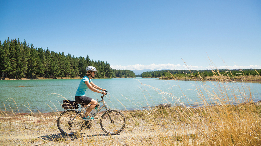 Rabbit Island easy cycling