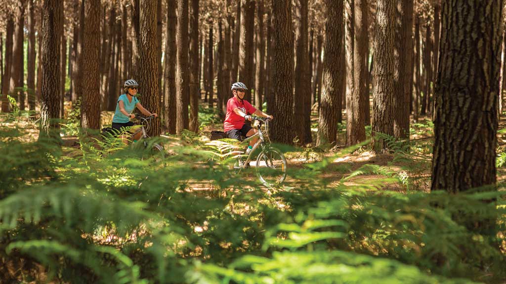 Rabbit Island Cycling