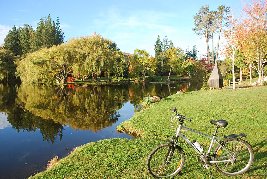 Hidden Gems along The Cycle Trail