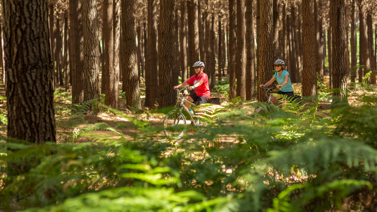 Rabbit Island Cycling