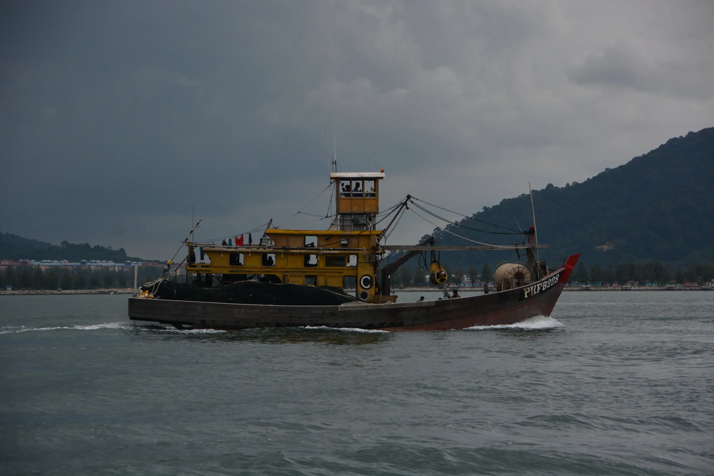 DSC_6896.JPG