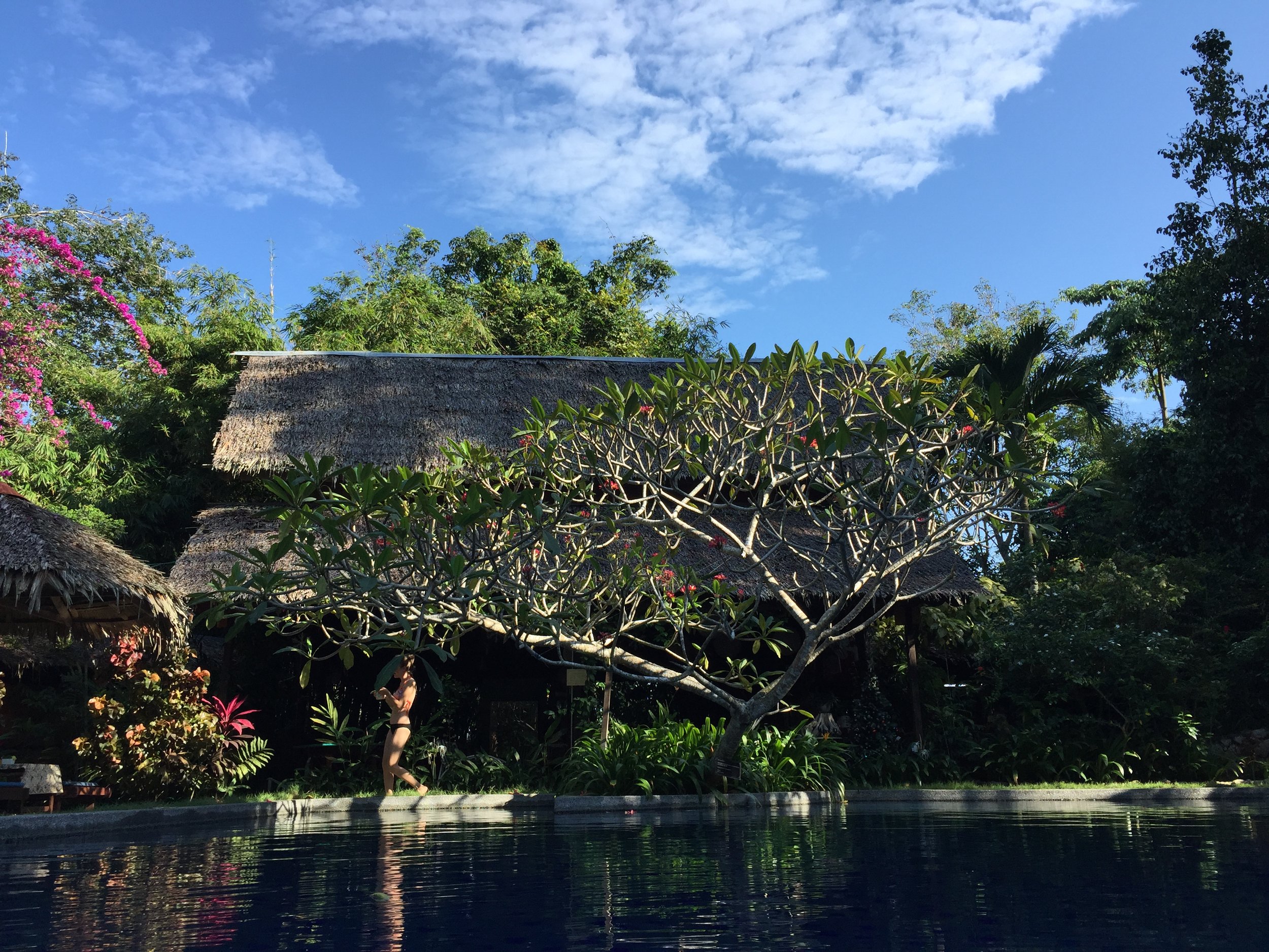 Blue sky means relaxing poolside at Tiger Rock
