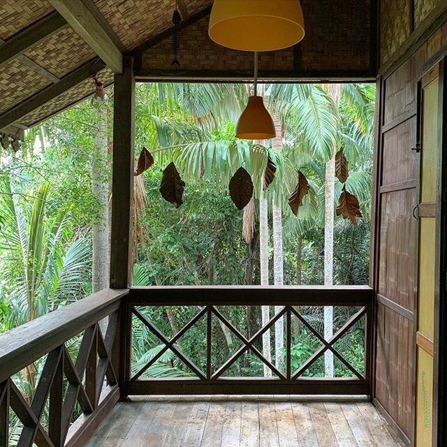 When you live in the jungle &amp; have lots of verandas, bats obviously want to take advantage of these protected roosting spaces. 
We however, always have to clean up the guano, &amp; are woken up at night by them dropping the big palm seeds on the 