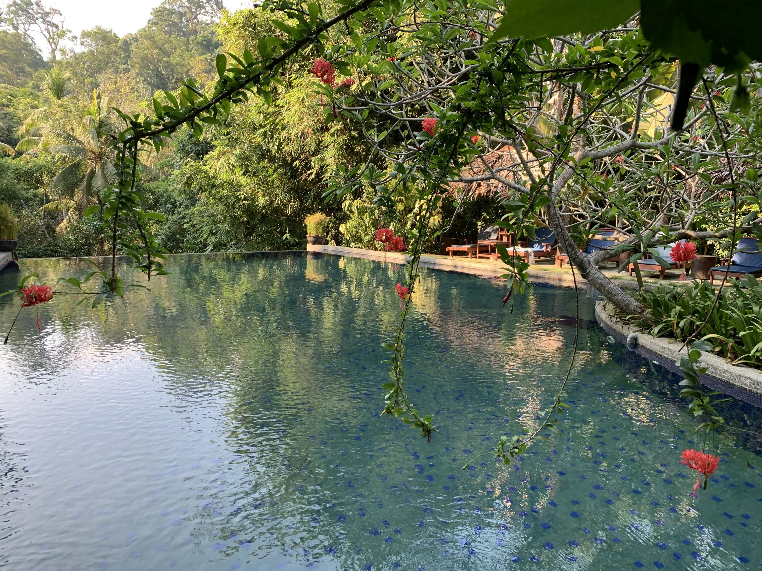 Main Pool.JPG
