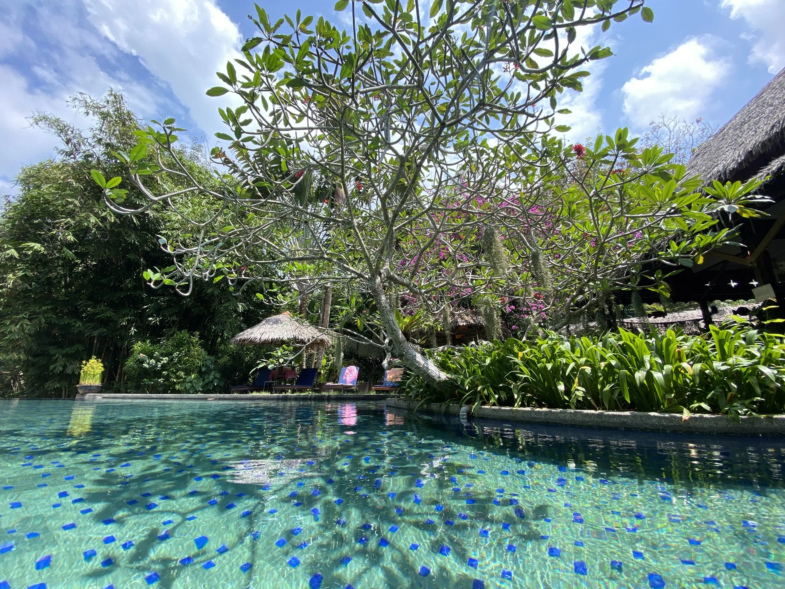 Lazy Days at the Pool.JPG