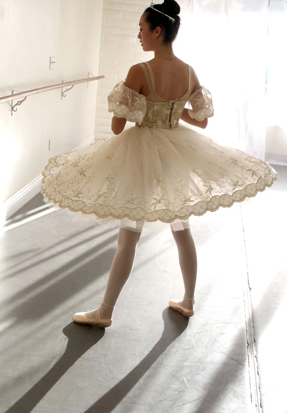 Cinderella+Skirt.jpg