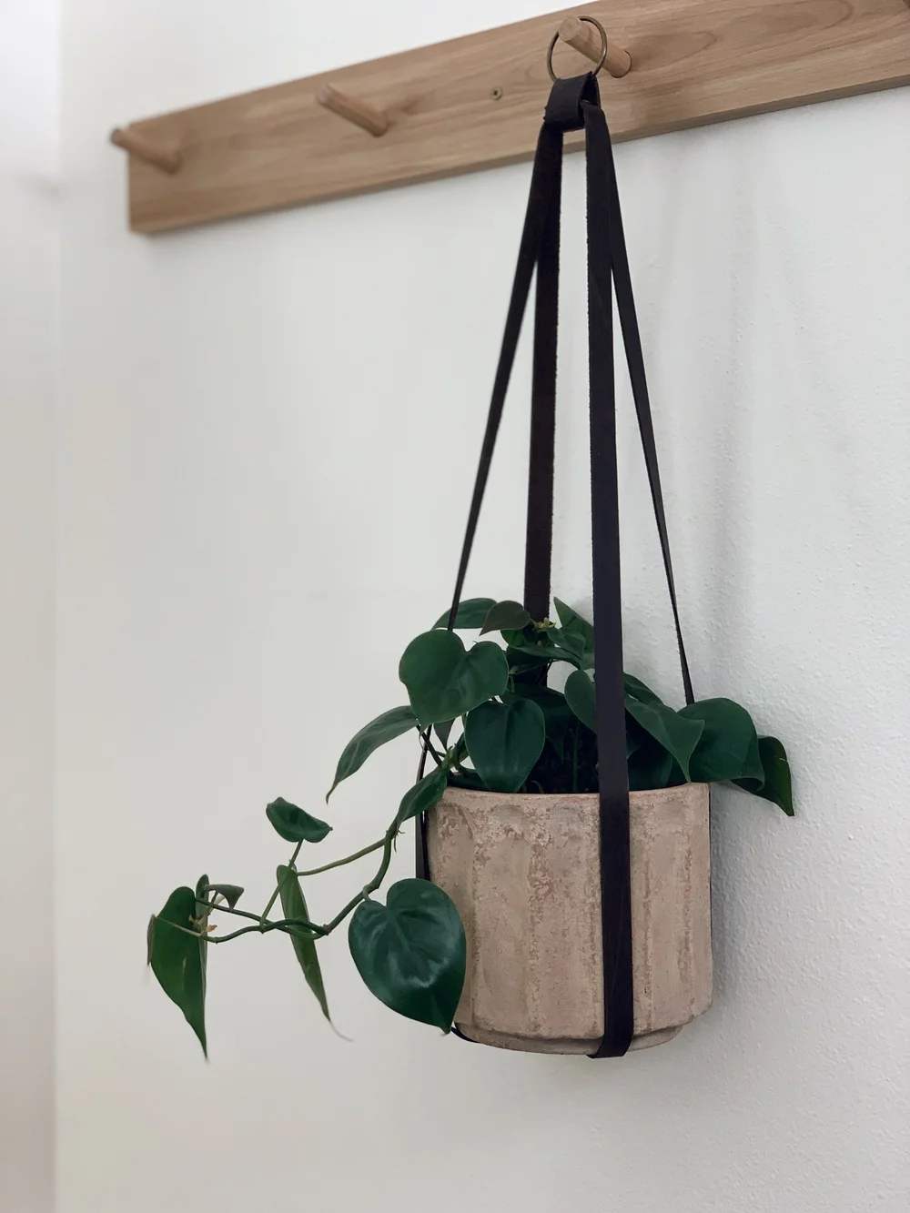 Leather Plant Hanger  Branch Collective