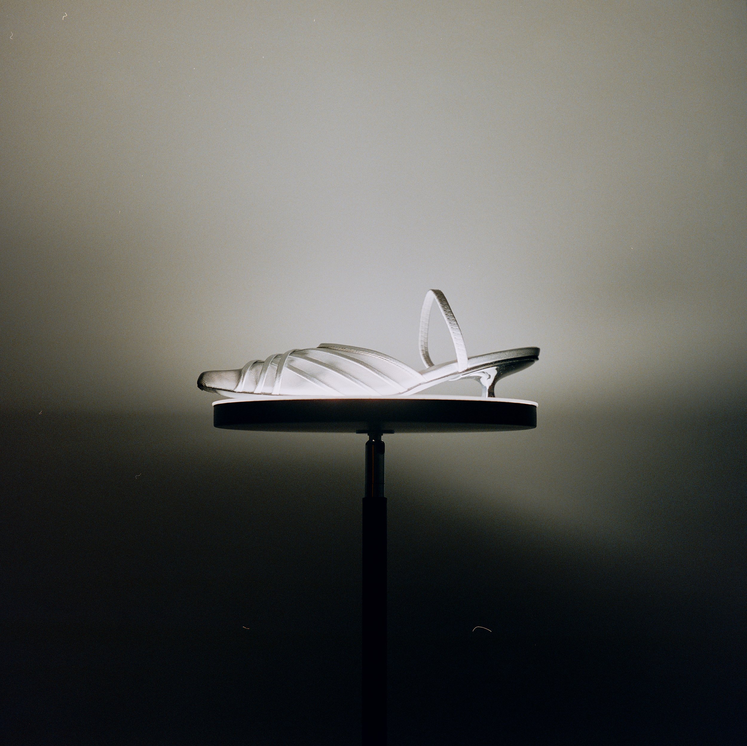 DSCF3648.jpg