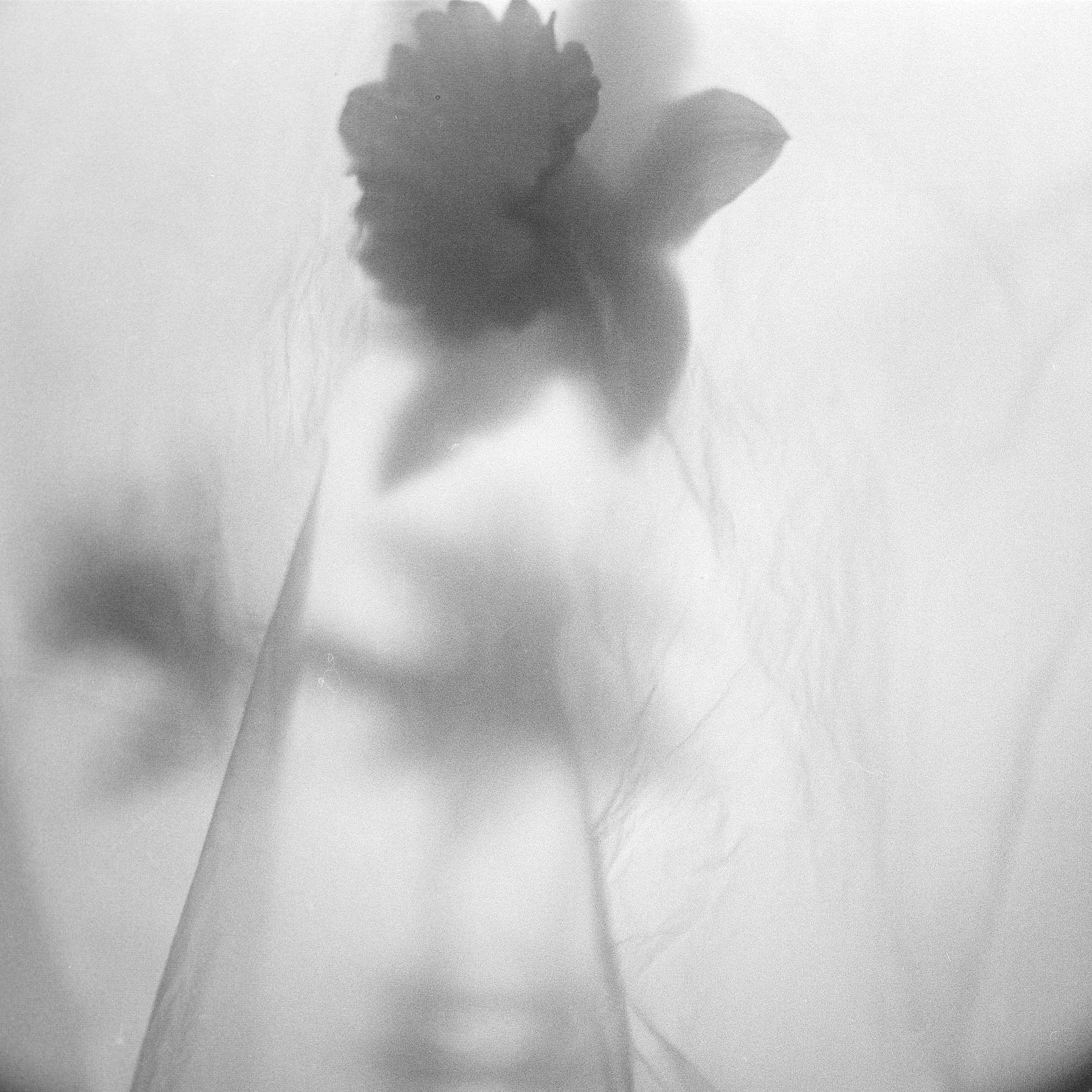 Kentmere 100-1555.jpg