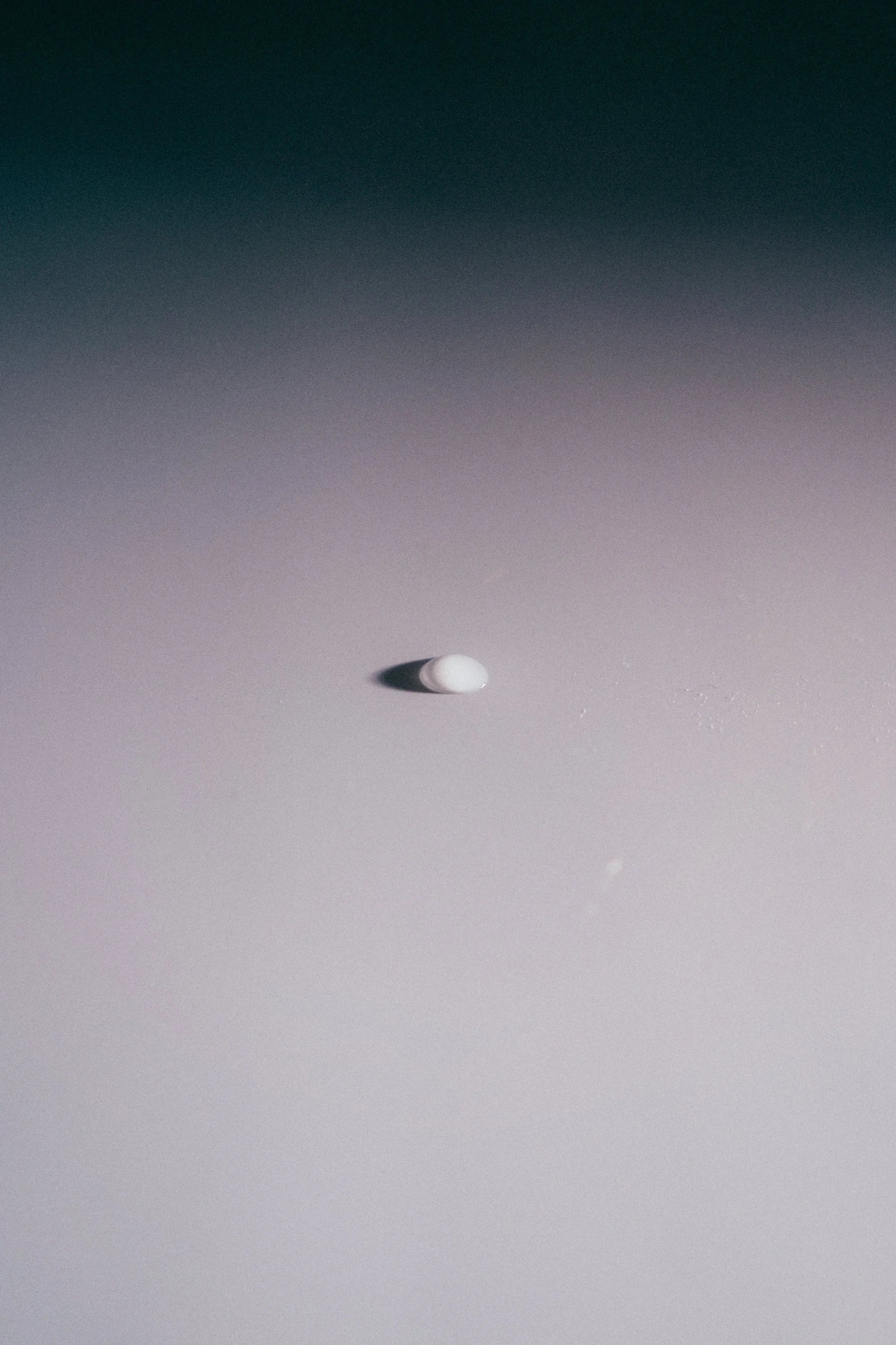 20260313 Macro1328.jpg