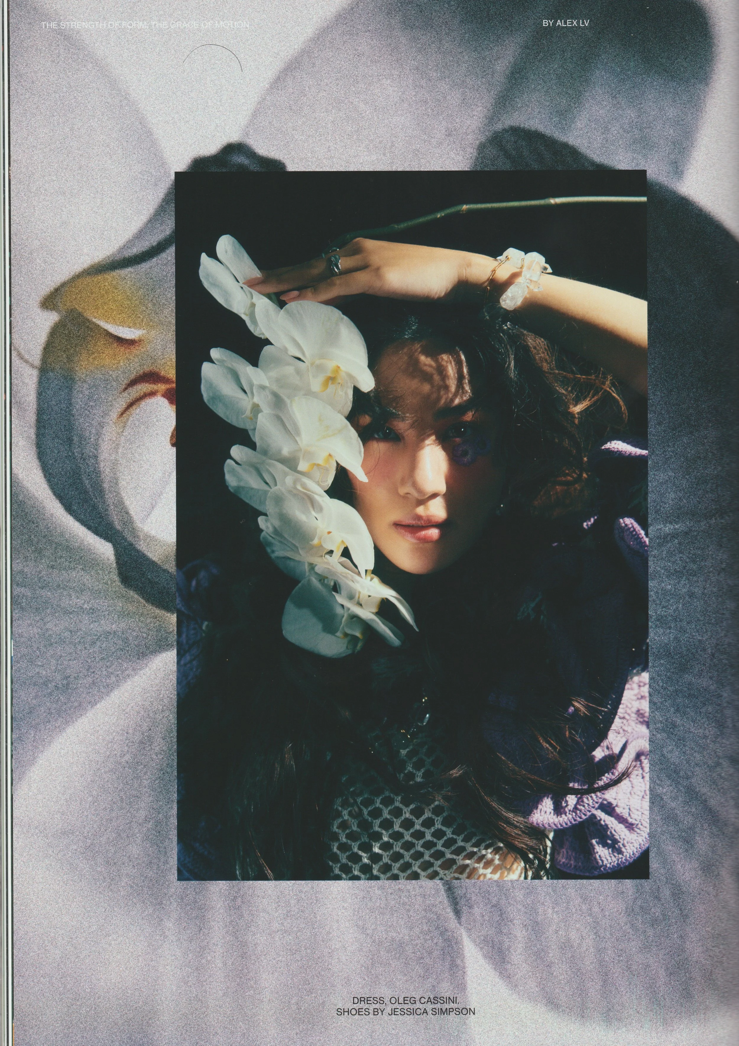 HERDES Issue 20